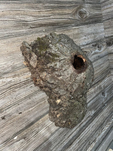 Knot Hole Log, Approximately 17.5 Inches Long by 11.5 Inches Wide and 5 Inches Deep