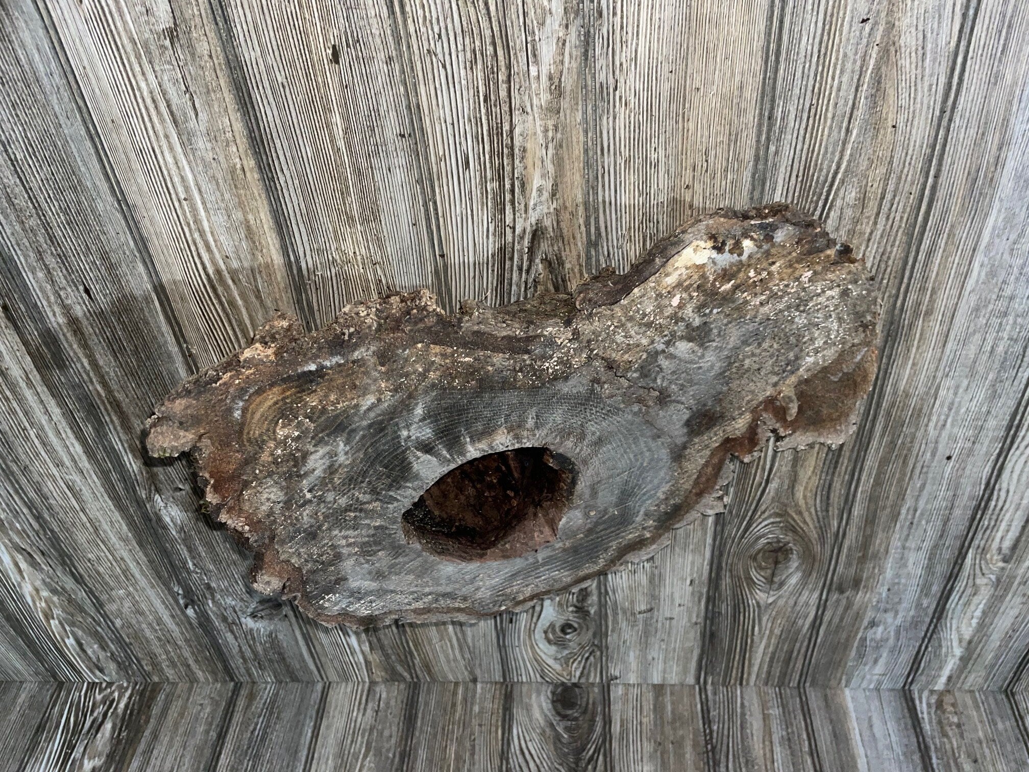 Knot Hole Log, Approximately 17.5 Inches Long by 11.5 Inches Wide and 5 Inches Deep