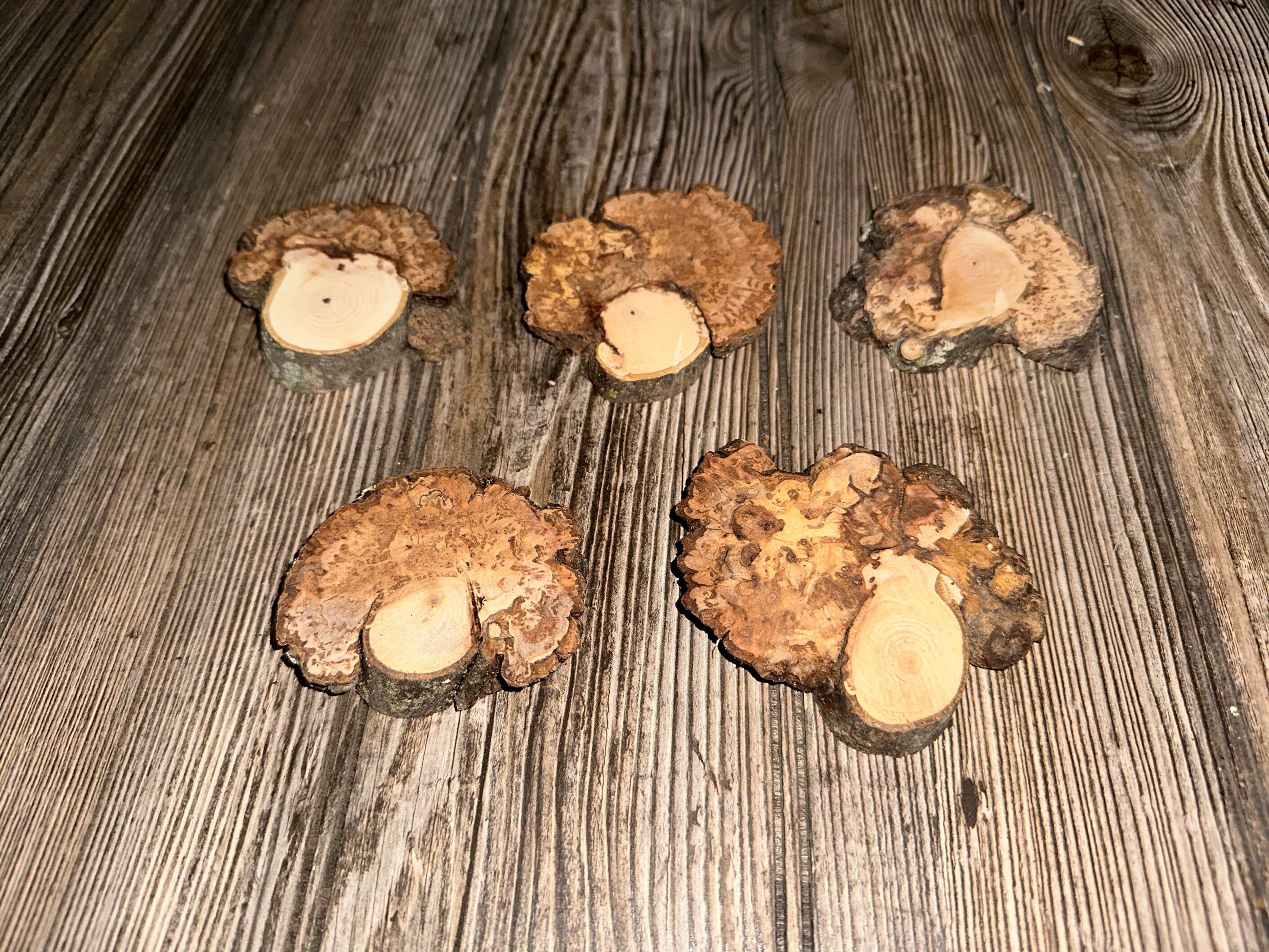 Five Hickory Burl Slices, 5 Count, Approximately 2.5-3.5 Inches Long by 2-3 Inches Wide and 1/2 Inch Thick