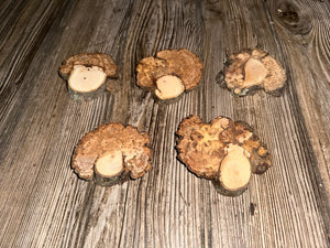 Five Hickory Burl Slices, 5 Count, Approximately 2.5-3.5 Inches Long by 2-3 Inches Wide and 1/2 Inch Thick