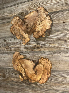 Two Hickory Burl Slices, Approximately 10-11 Inches Long by 6-7 Inches Wide and 3/4 Inch Thick