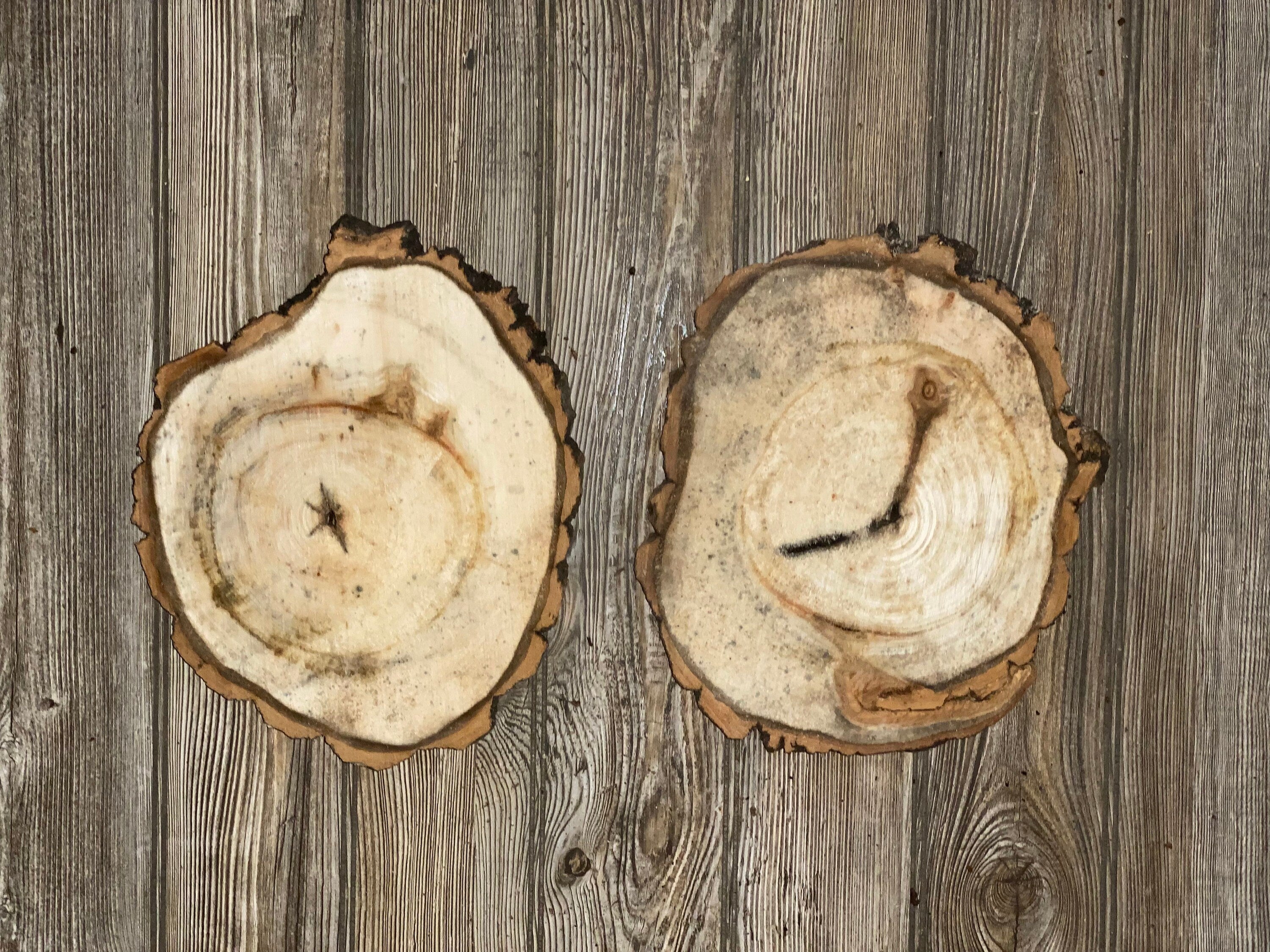 Two Aspen Burl Slices, Approximately 11 Inches Long by 9 Inches Wide and 3/4 Inches Thick