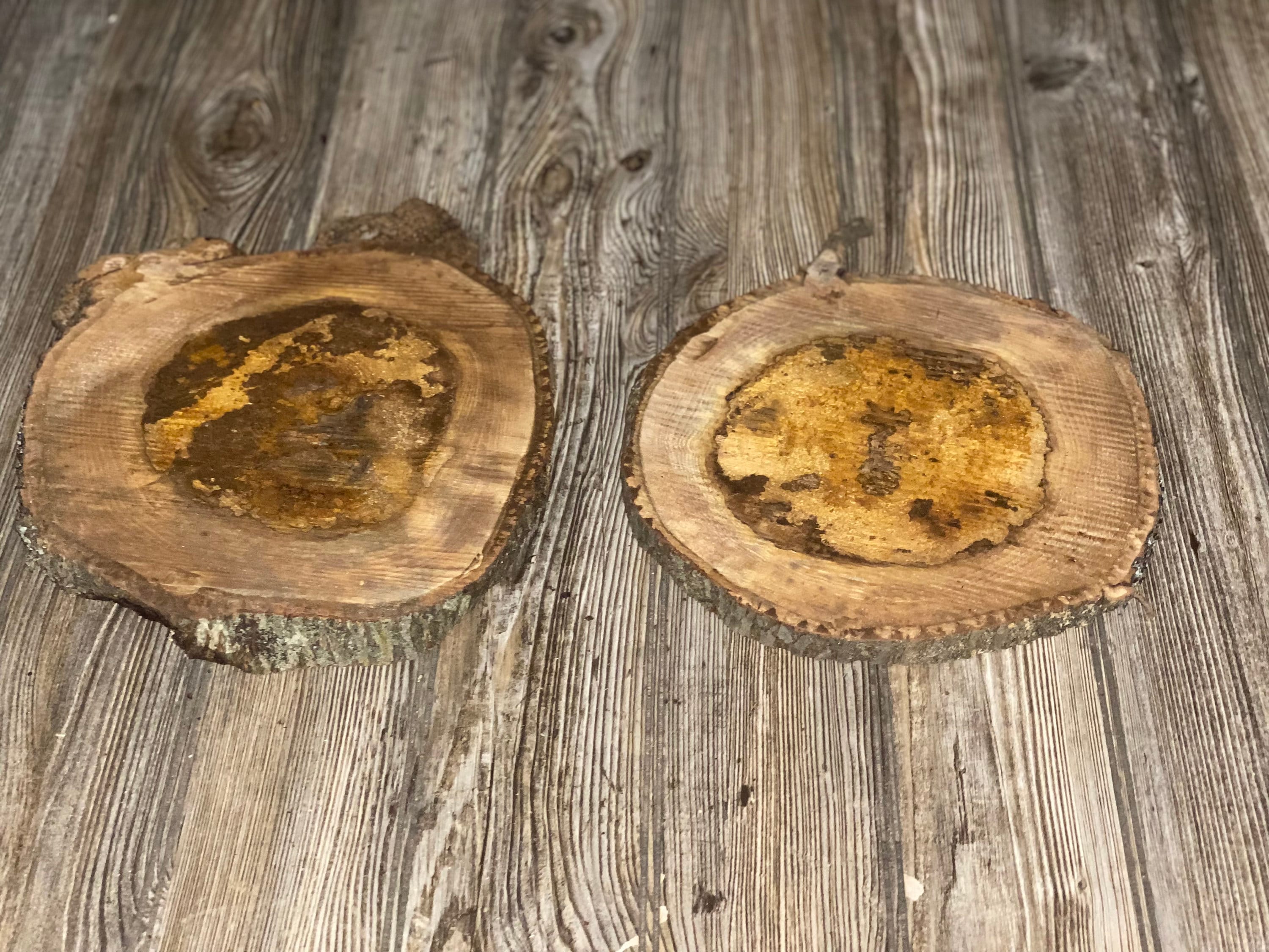 Two Hickory Burl Slices, Approximately 10.5-12.5 Inches Long by 10 Inches Wide and 3/4 Inch Thick
