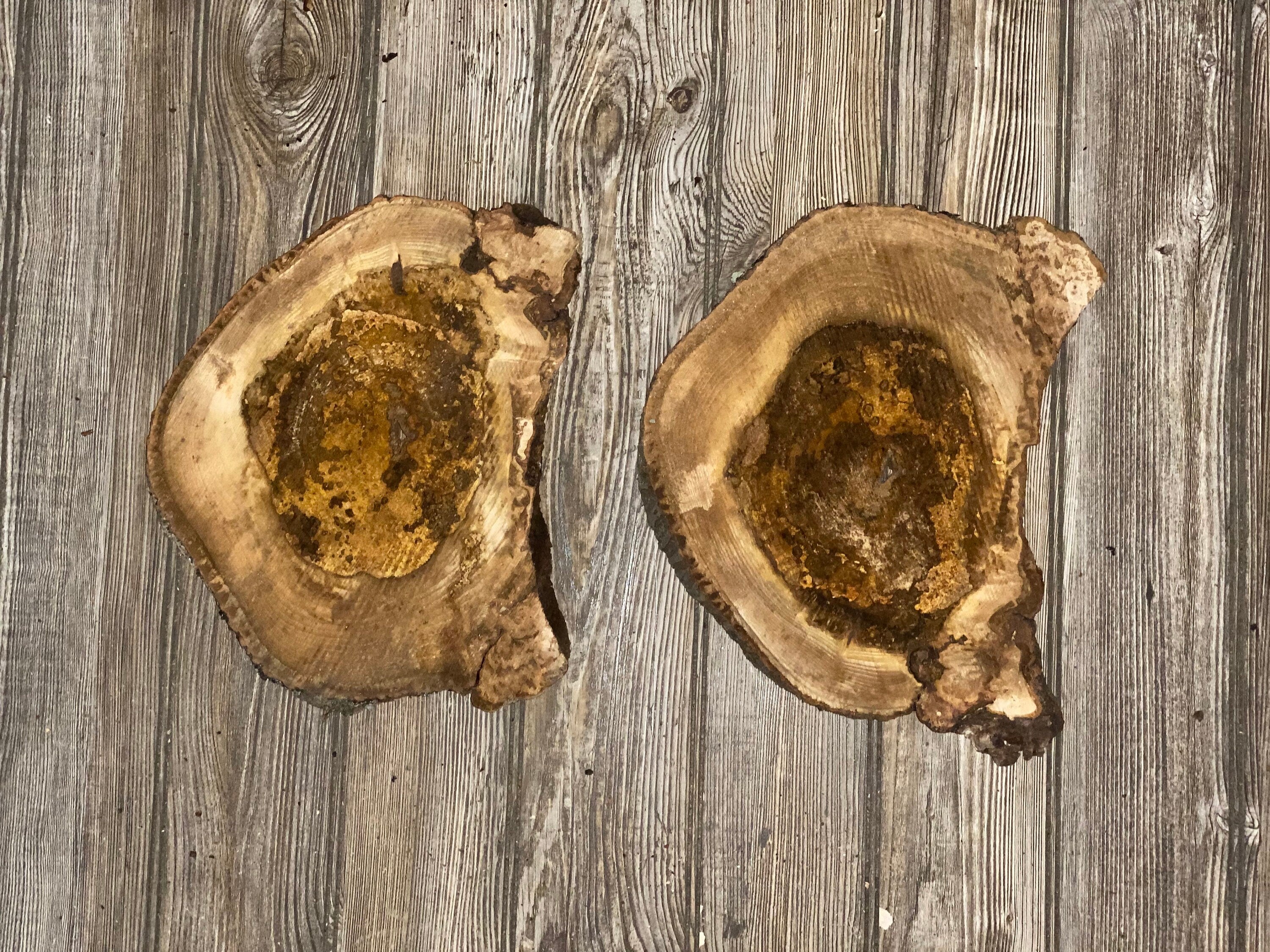 Two Hickory Burl Slices, Approximately 11.5-12 Inches Long by 9 Inches Wide and 3/4 Inch Thick