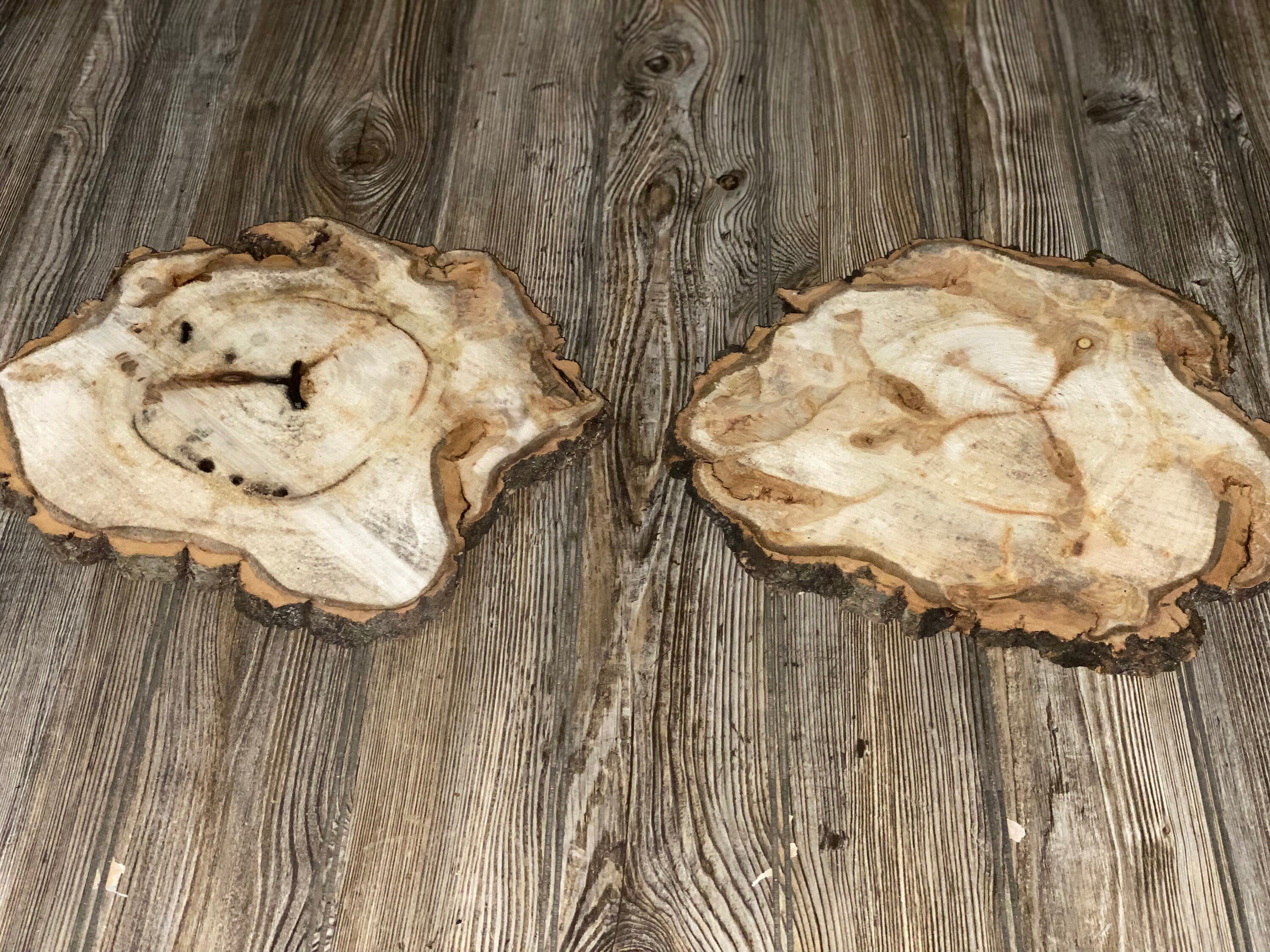 Two Aspen Burl Slices, Approximately 13 Inches Long by 12 Inches Wide and 3/4 Inches Thick