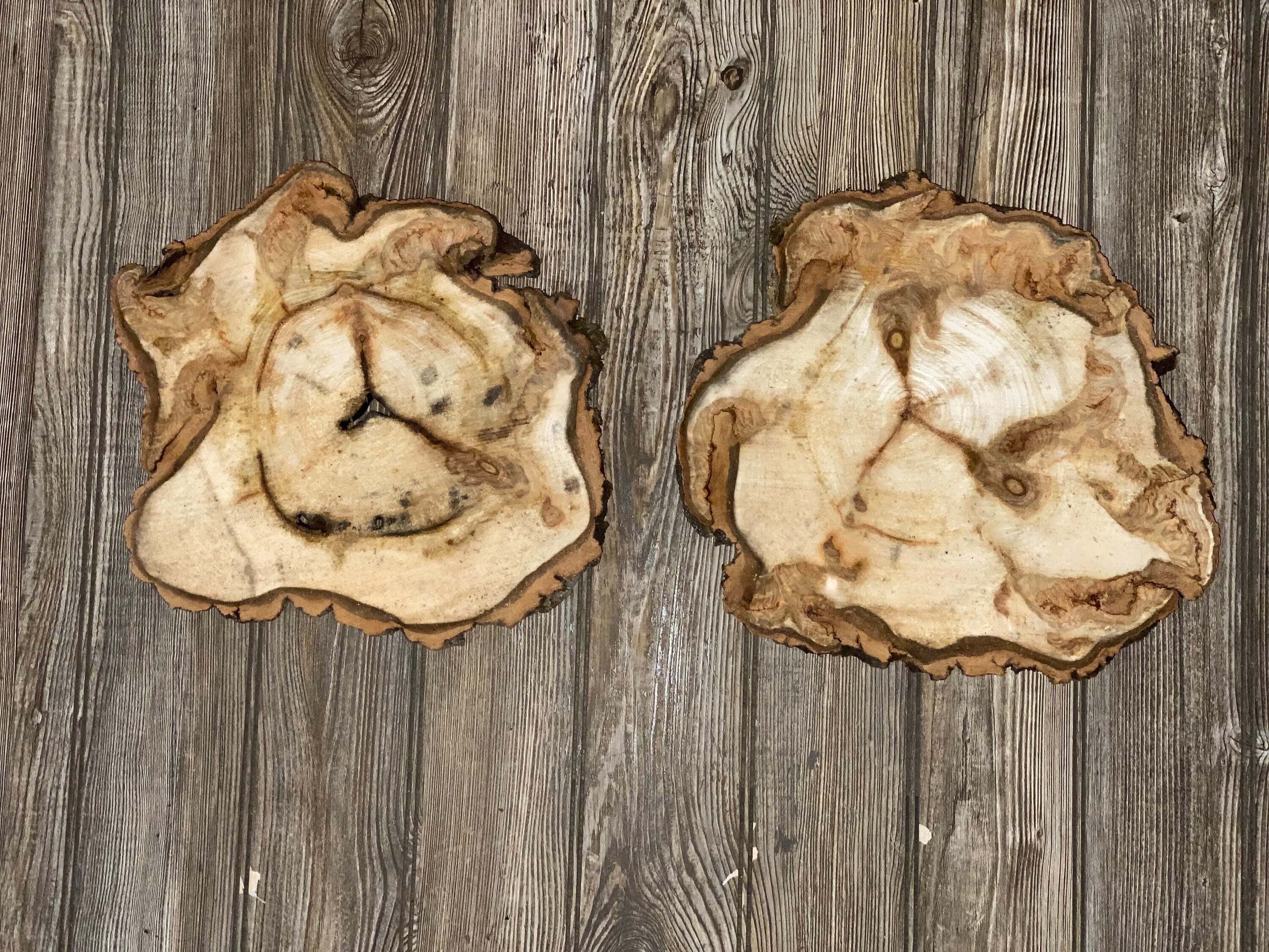 Two Aspen Burl Slices, Approximately 13 Inches Long by 12 Inches Wide and 3/4 Inches Thick