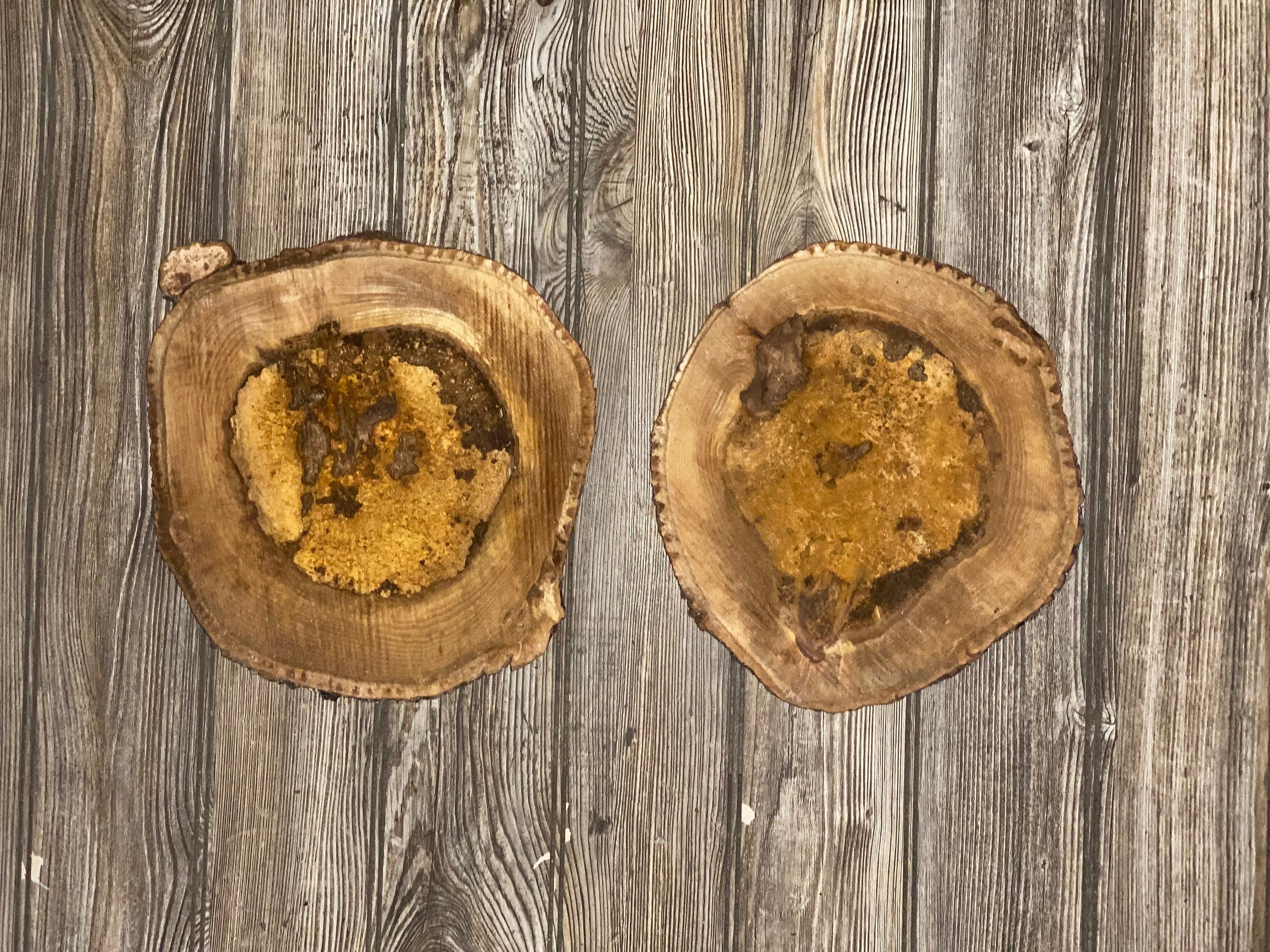 Two Hickory Burl Slices, Approximately 10 Inches Long by 9 Inches Wide and 3/4 Inch Thick