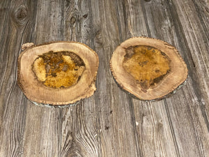 Two Hickory Burl Slices, Approximately 10 Inches Long by 9 Inches Wide and 3/4 Inch Thick