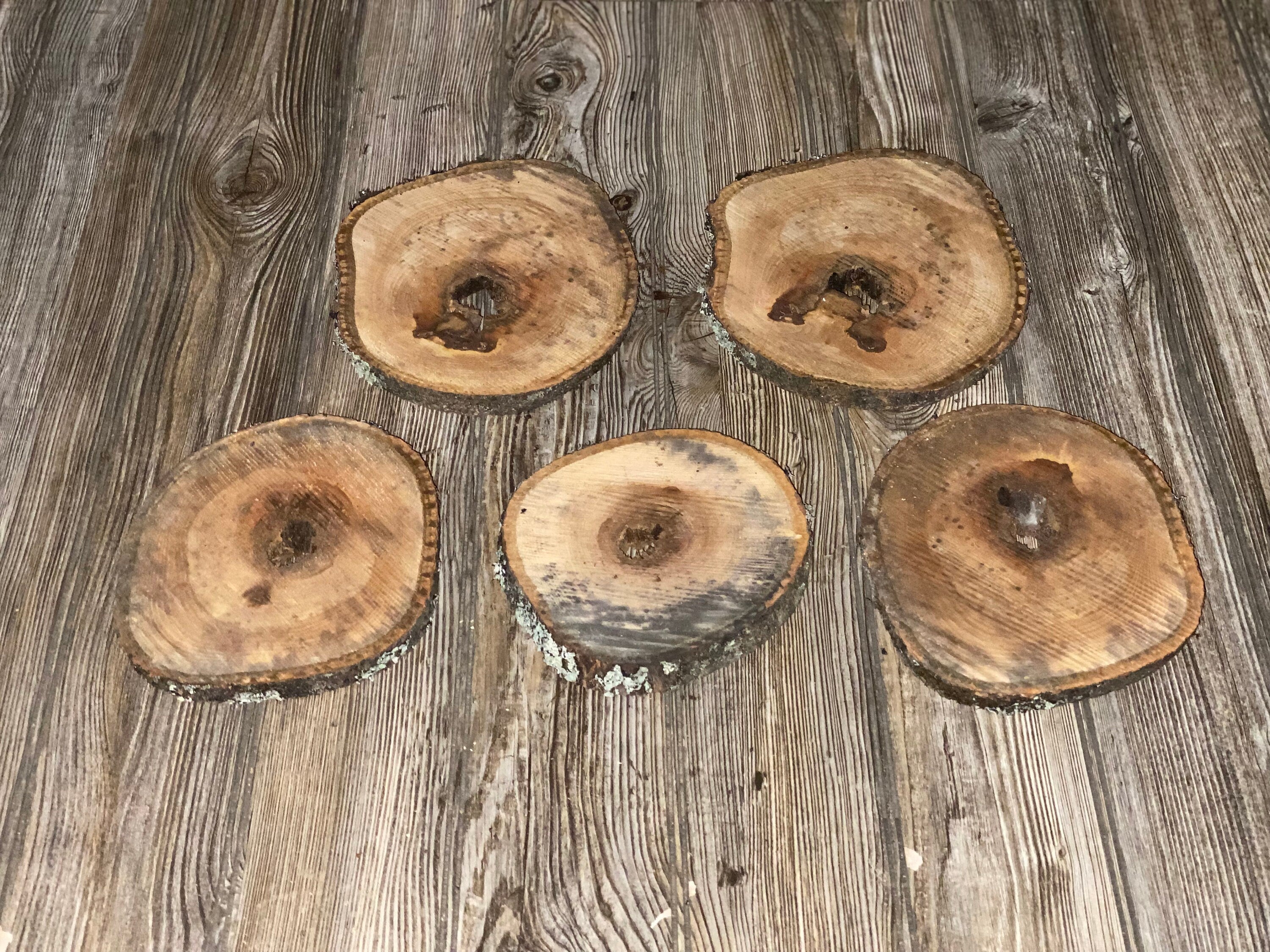 Five Donut Shaped Hickory Burl Slices, Approximately 6.5-8.5 Inches Long by 6-7.5 Inches Wide and 3/4 Inch Thick