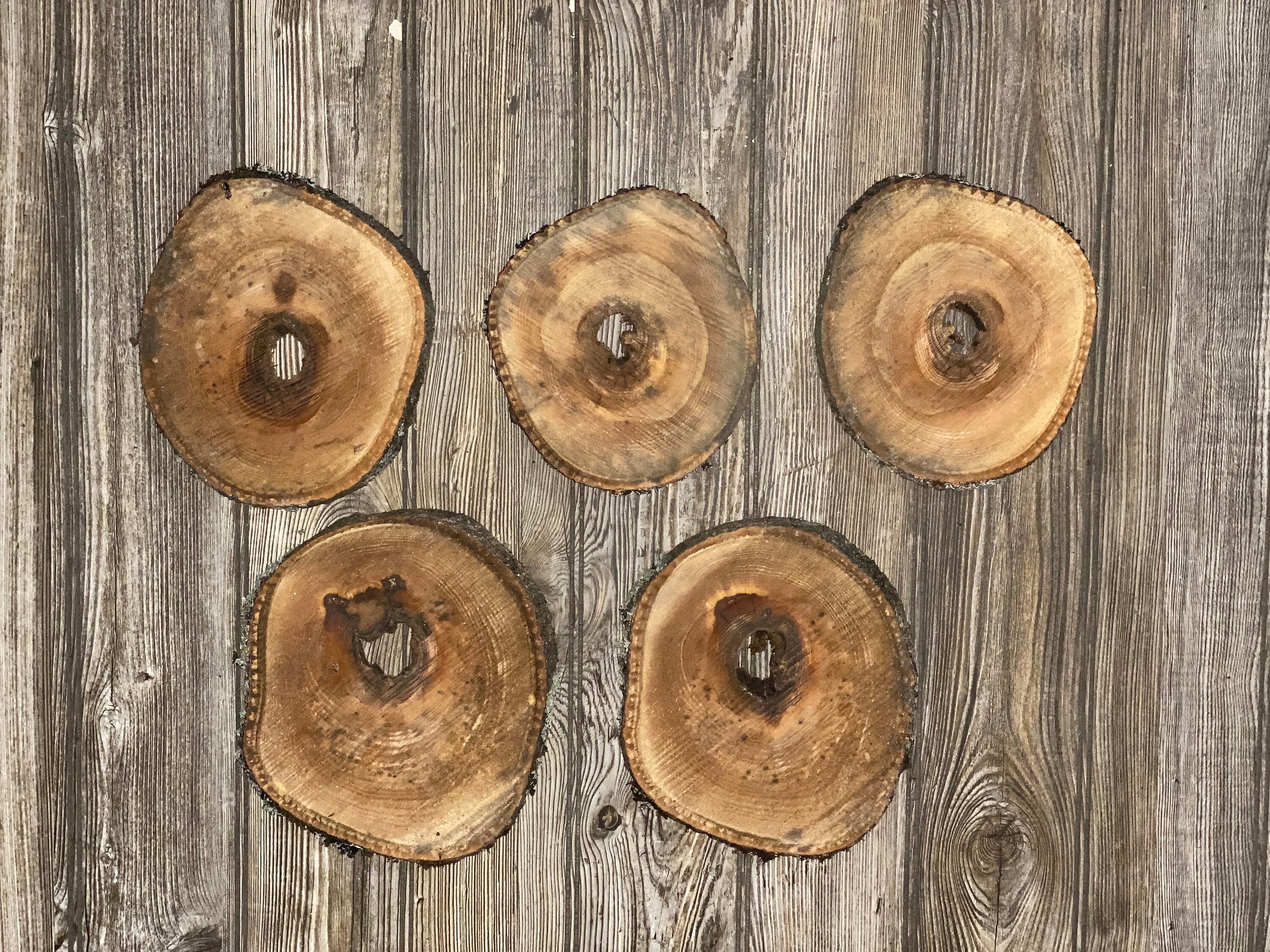 Five Donut Shaped Hickory Burl Slices, Approximately 6.5-8.5 Inches Long by 6-7.5 Inches Wide and 3/4 Inch Thick