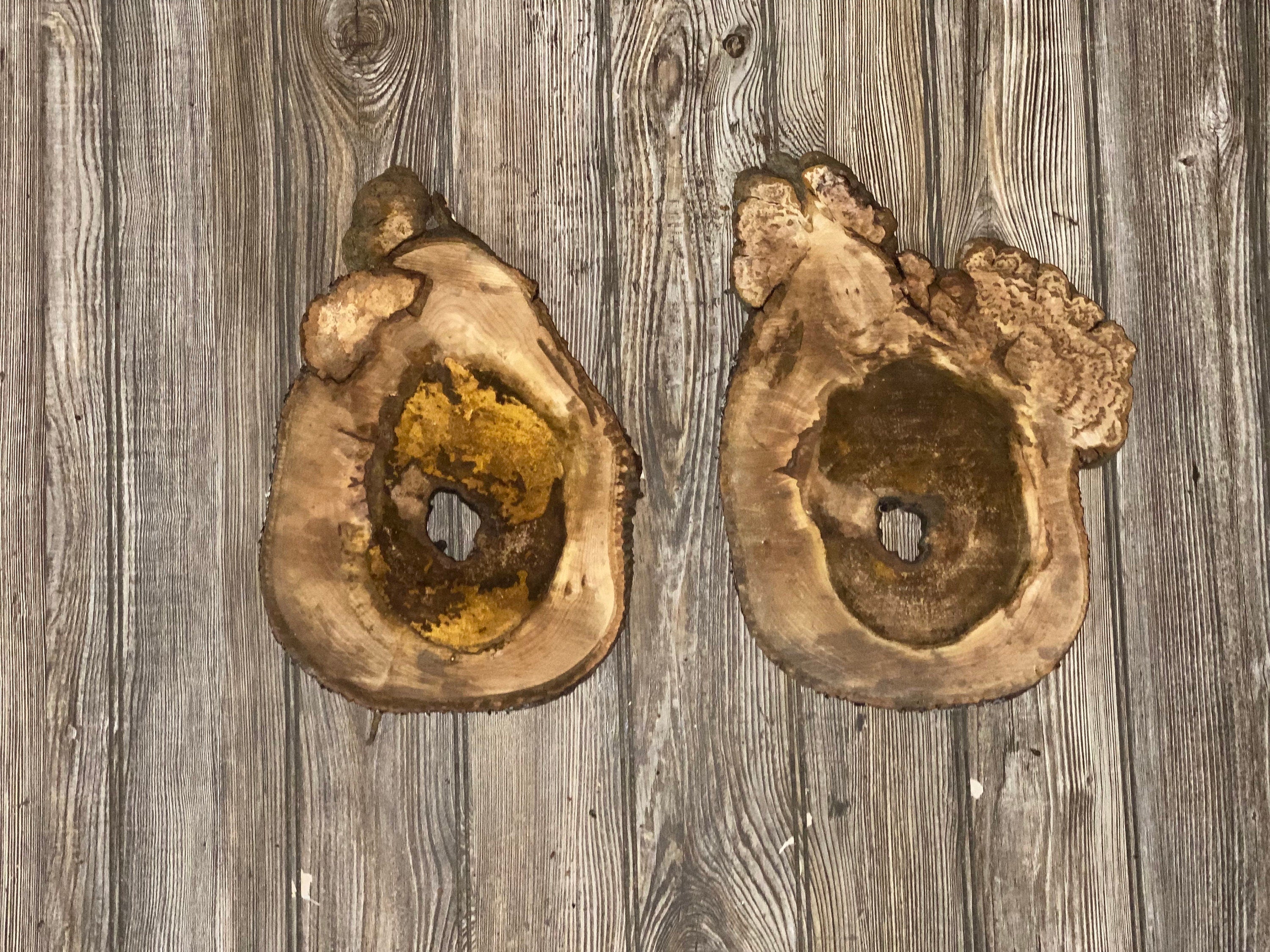 Two Hickory Burl Slices, Approximately 13-14 Inches Long by 9-10 Inches Wide and 3/4 Inch Thick