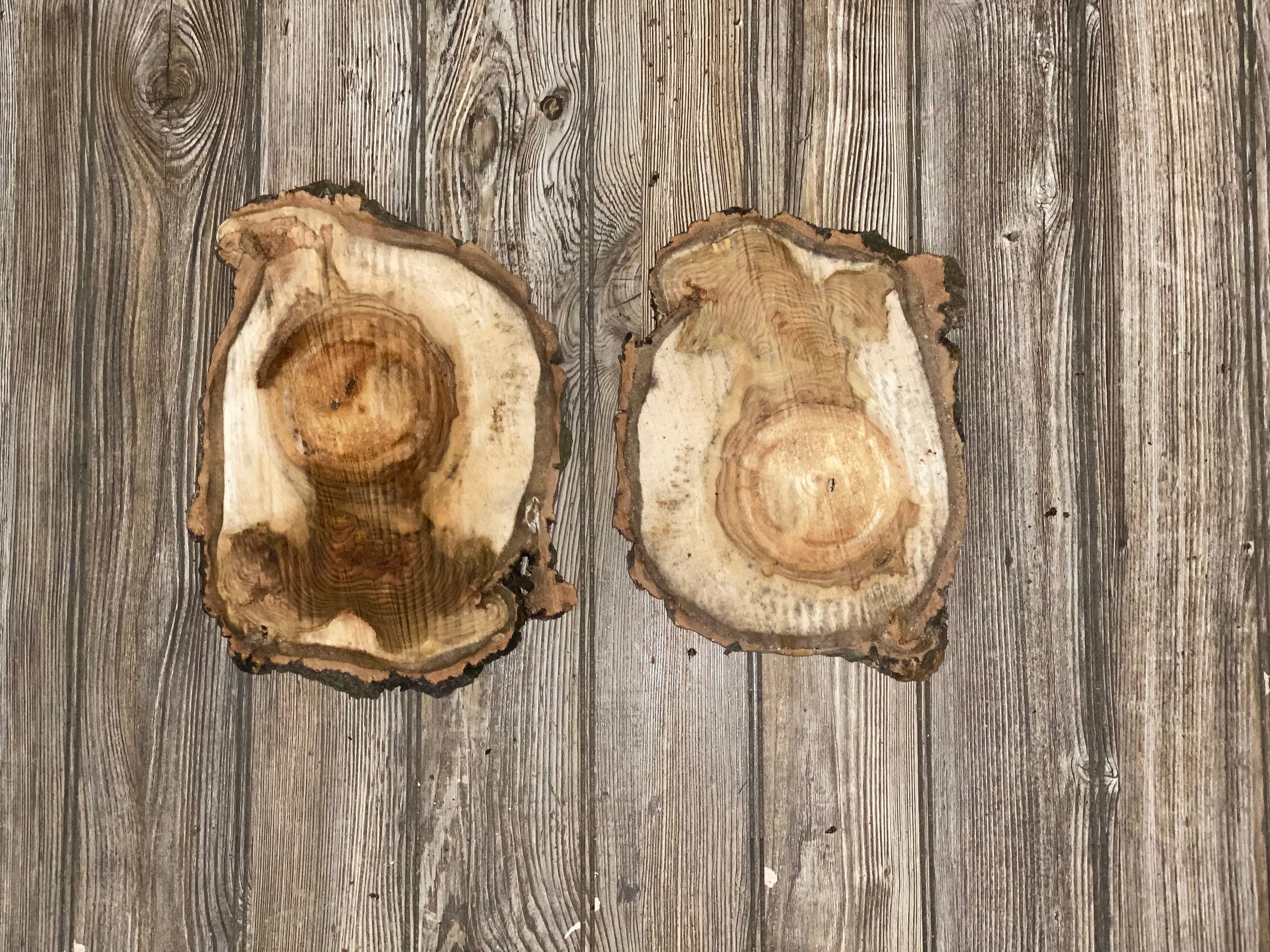 Two Aspen Burl Slices, Approximately 12 Inches Long by 8-9 Inches Wide and 3/4 Inches Thick