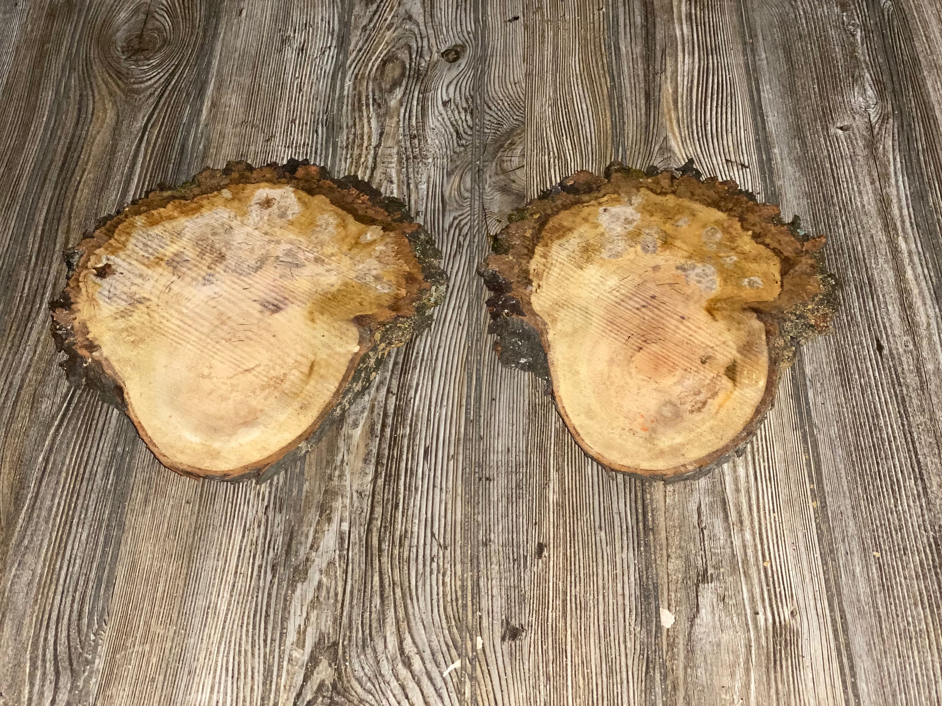 Two "Curly Head" Cherry Burl Slices, Approximately 10 Inches Long by 9 Inches Wide and 3/4 Inch Thick