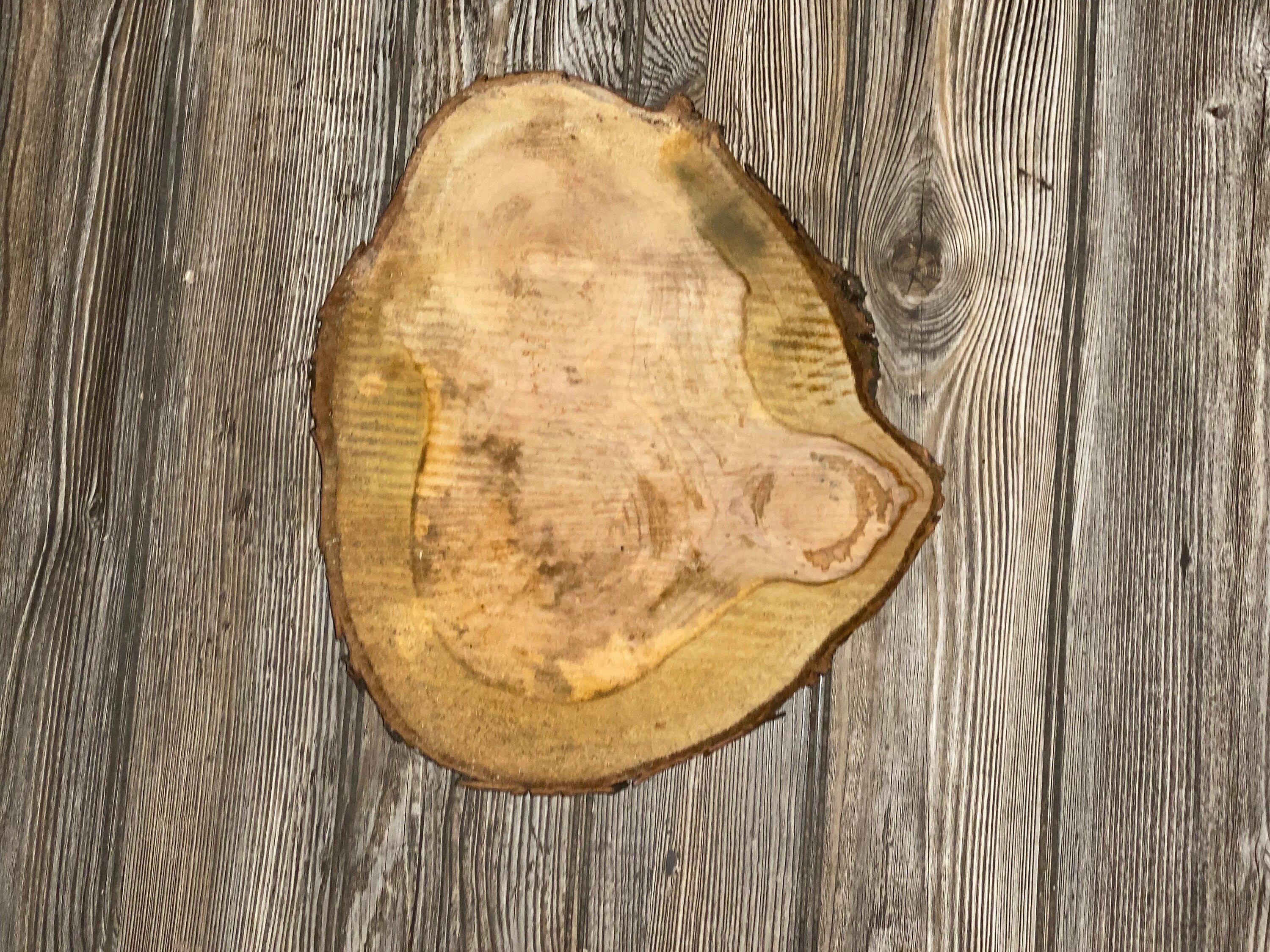 Single Cherry Burl Slice, Approximately 12 Inches Long by 10 Inches Wide and 3/4 Inch Thick