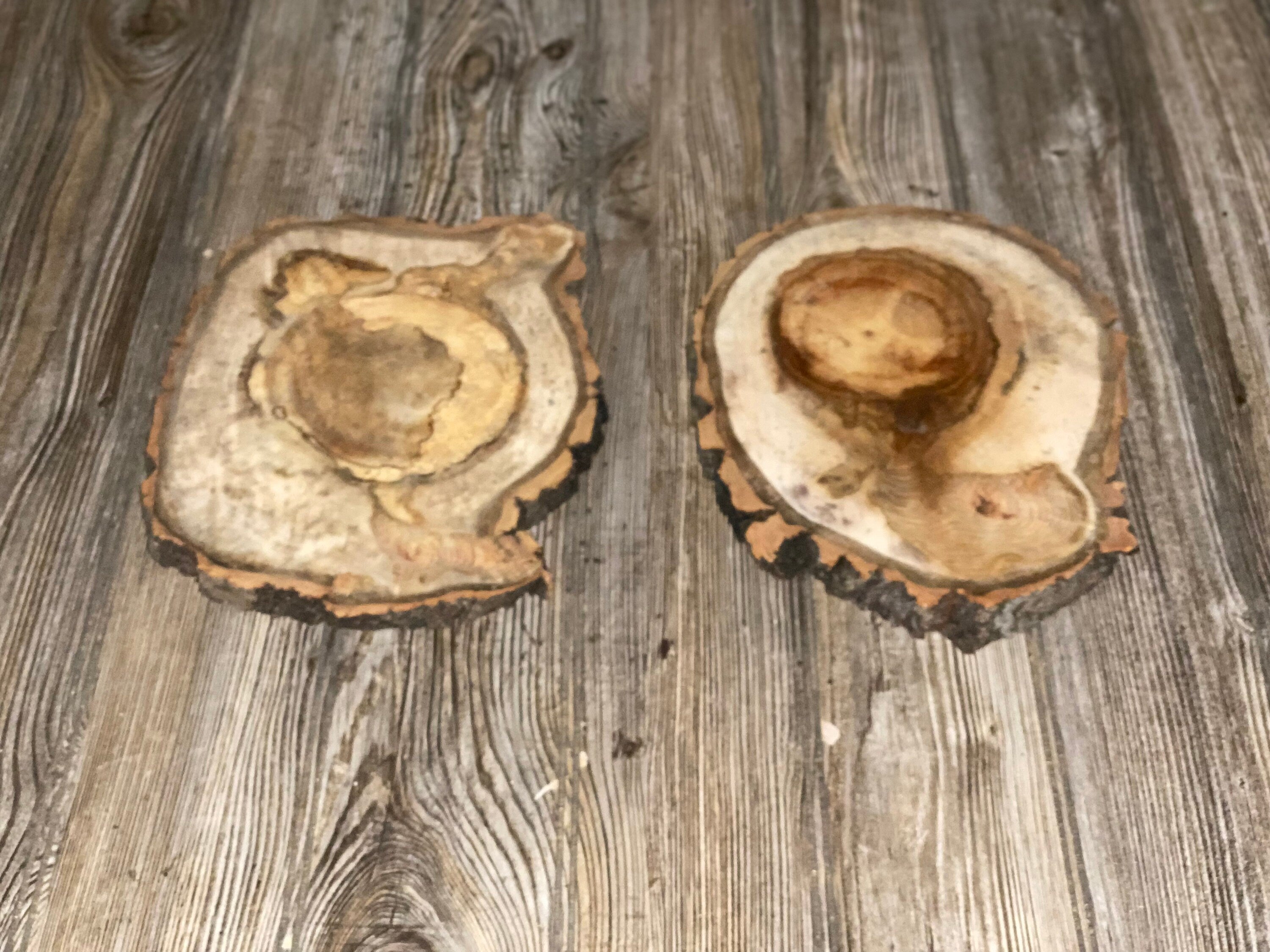 Two Aspen Burl Slices, Approximately 10.5 Inches Long by 8 Inches Wide and 3/4 Inches Thick