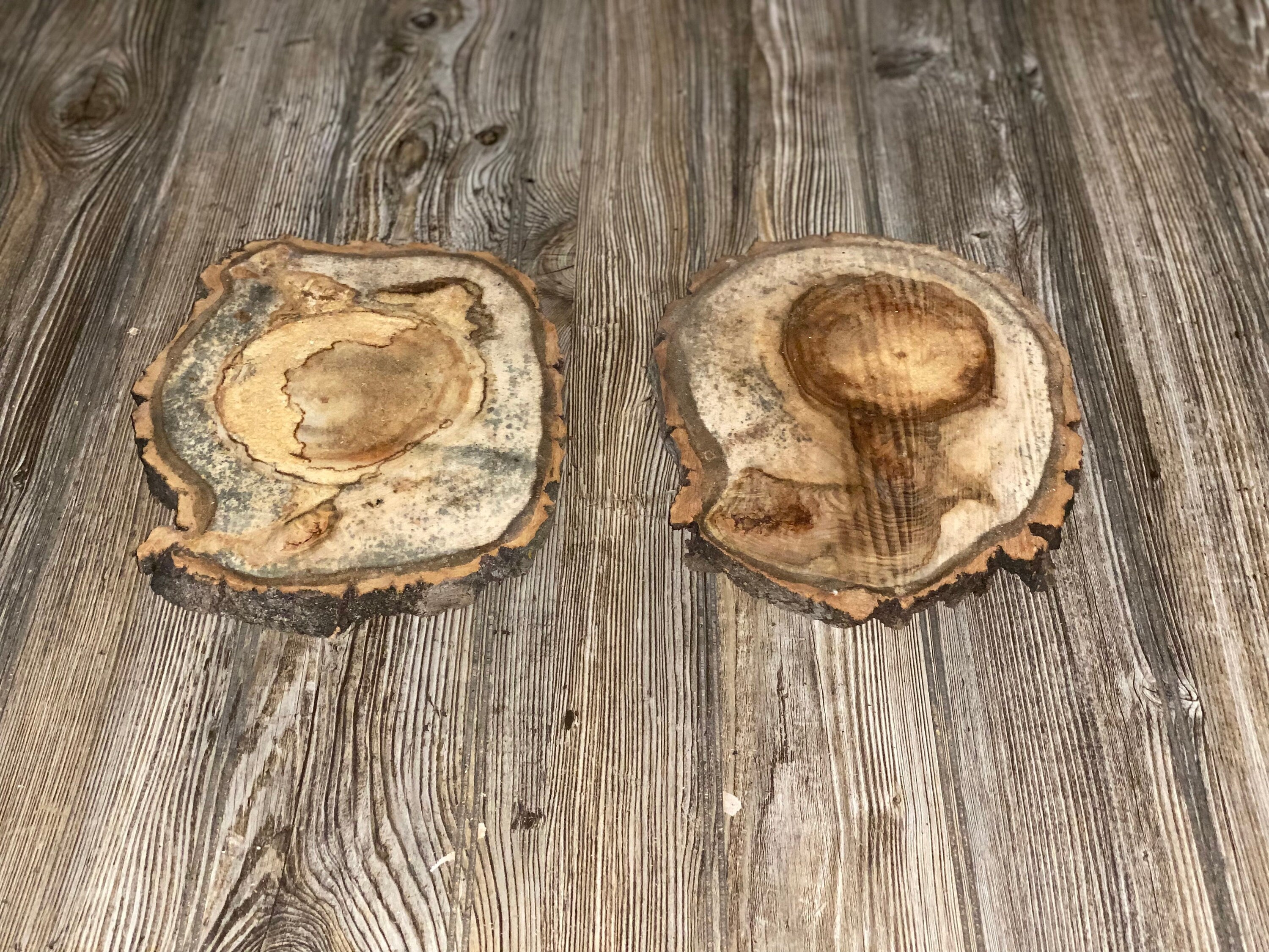 Two Aspen Burl Slices, Approximately 10.5 Inches Long by 8 Inches Wide and 3/4 Inches Thick