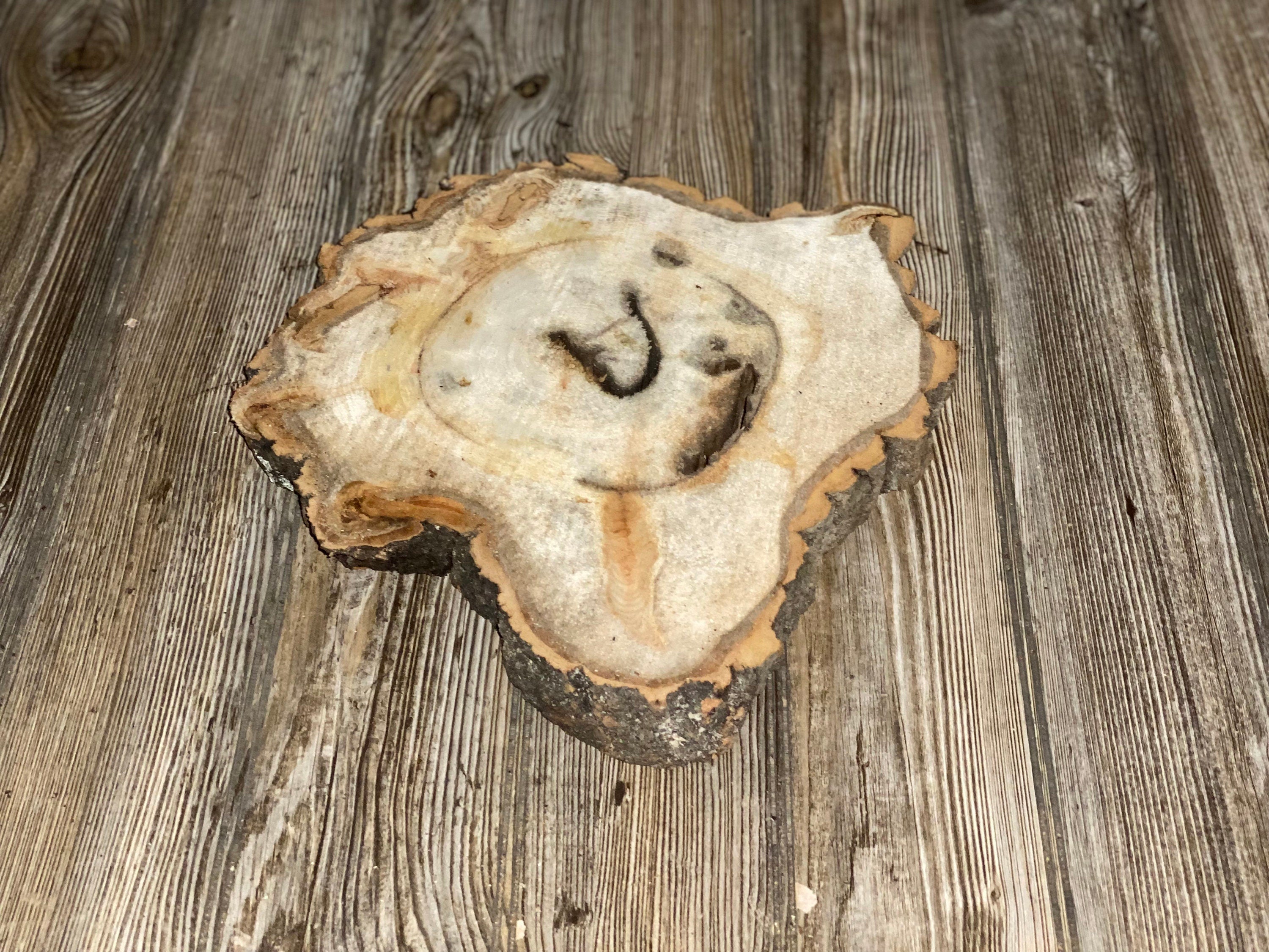 Aspen Burl Slice, Approximately 13 Inches Long by 12 Inches Wide and 1.5 Inches Thick