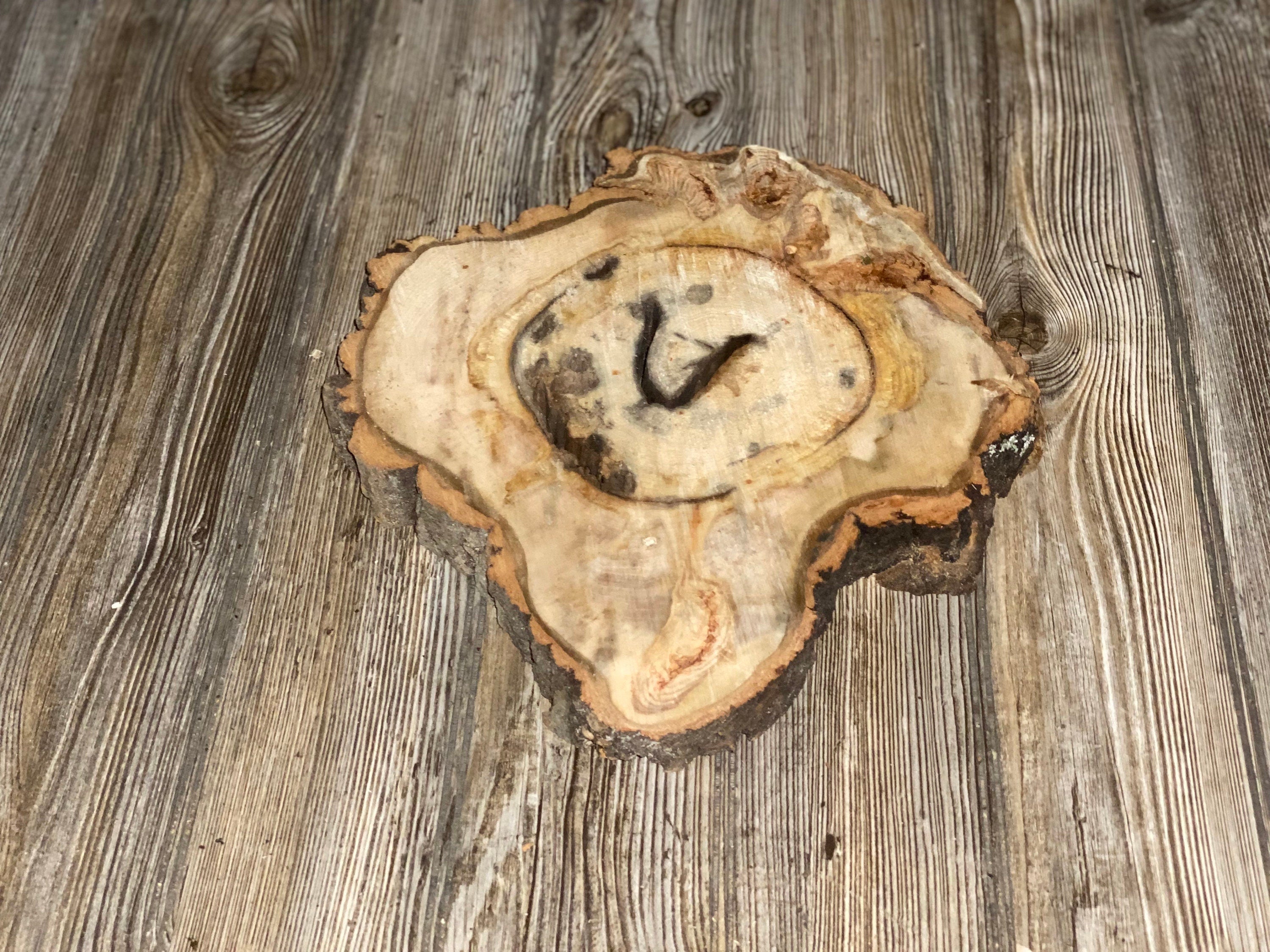 Aspen Burl Slice, Approximately 13 Inches Long by 12 Inches Wide and 1.5 Inches Thick