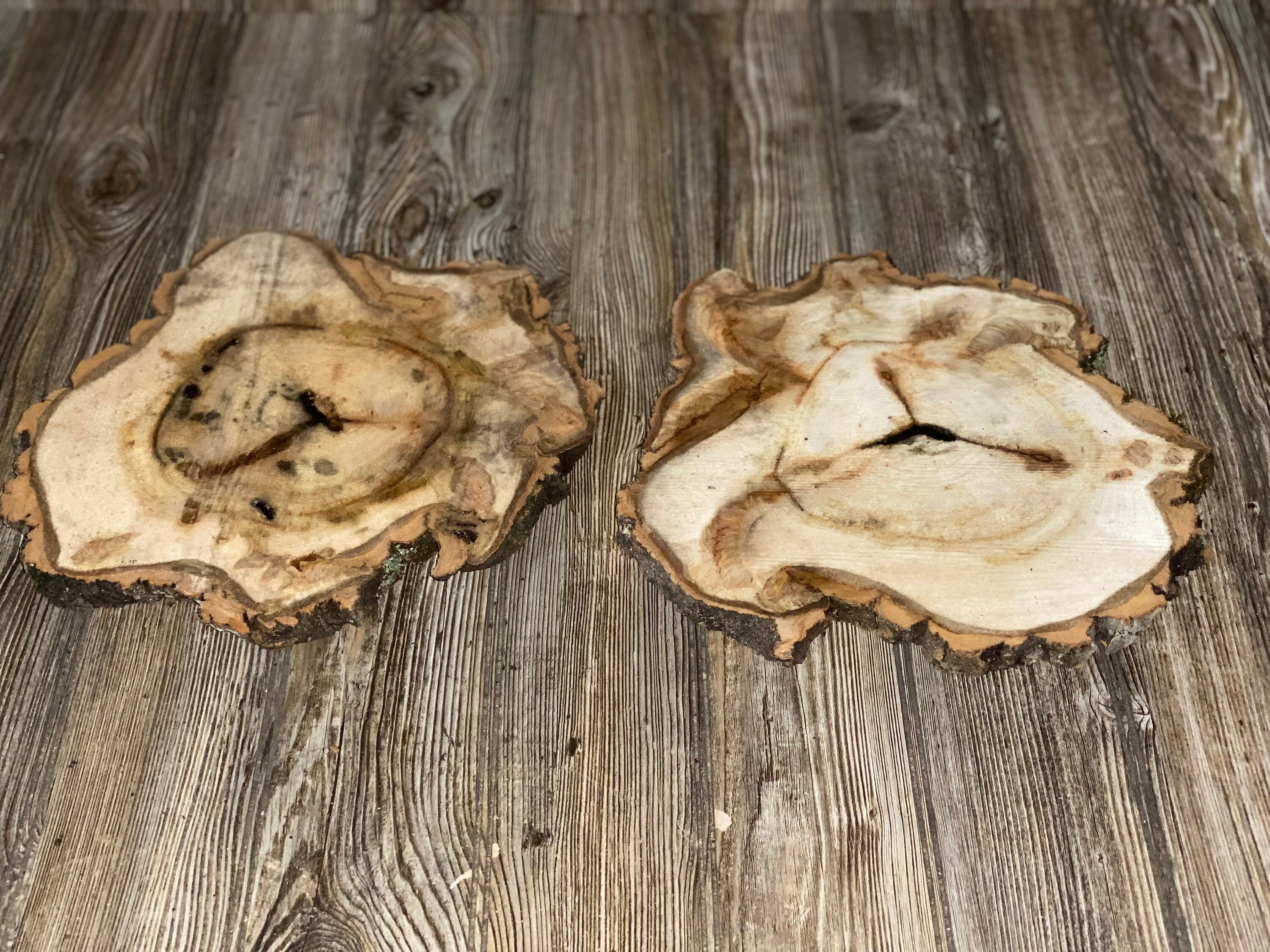 Two Aspen Burl Slices, Approximately 12.5-13 Inches Long by 12-12.5 Inches Wide and 3/4 Inches Thick