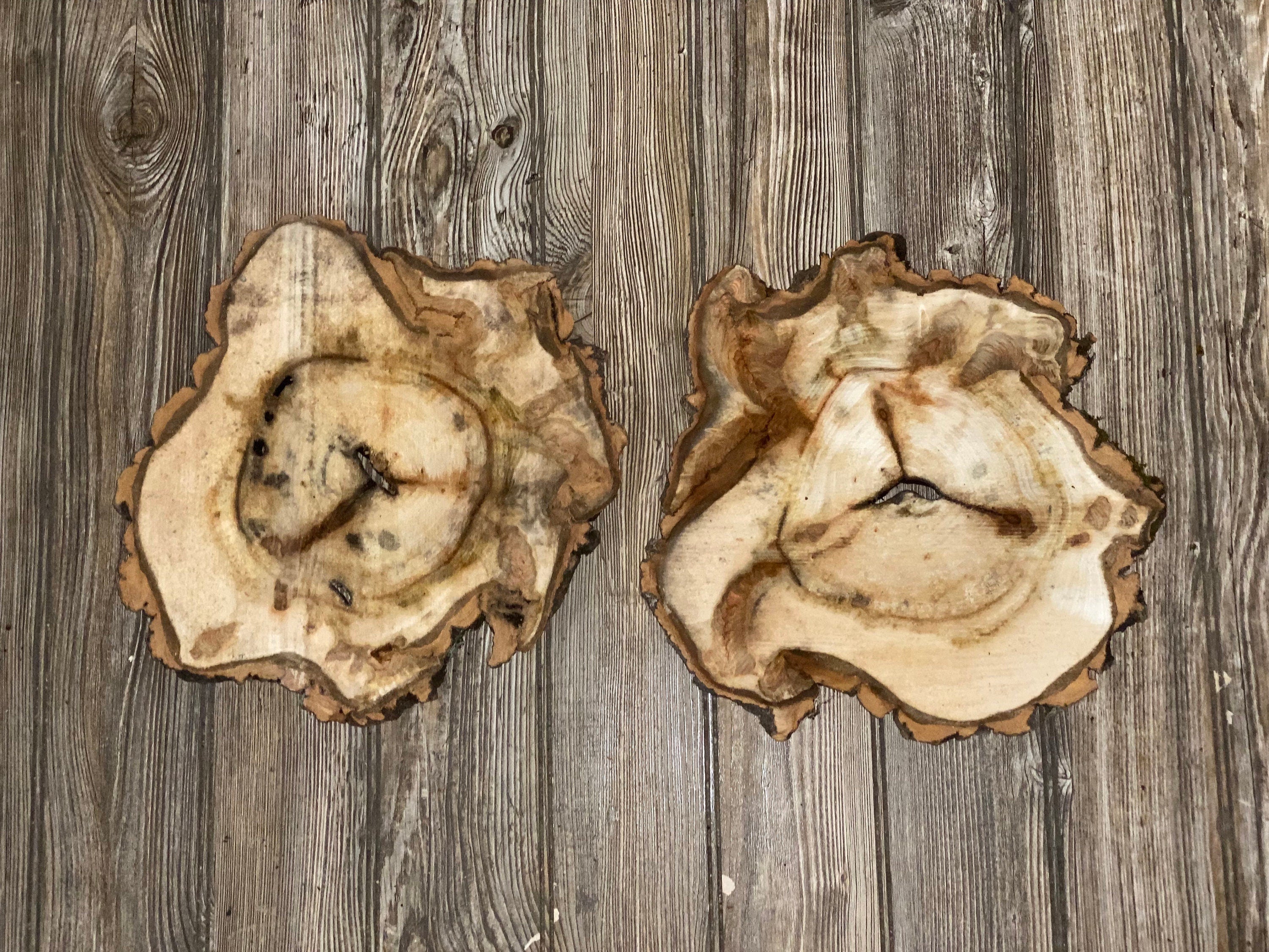 Two Aspen Burl Slices, Approximately 12.5-13 Inches Long by 12-12.5 Inches Wide and 3/4 Inches Thick