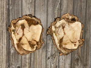 Two Aspen Burl Slices, Approximately 13 Inches Long by 11 Inches Wide and 3/4 Inches Thick