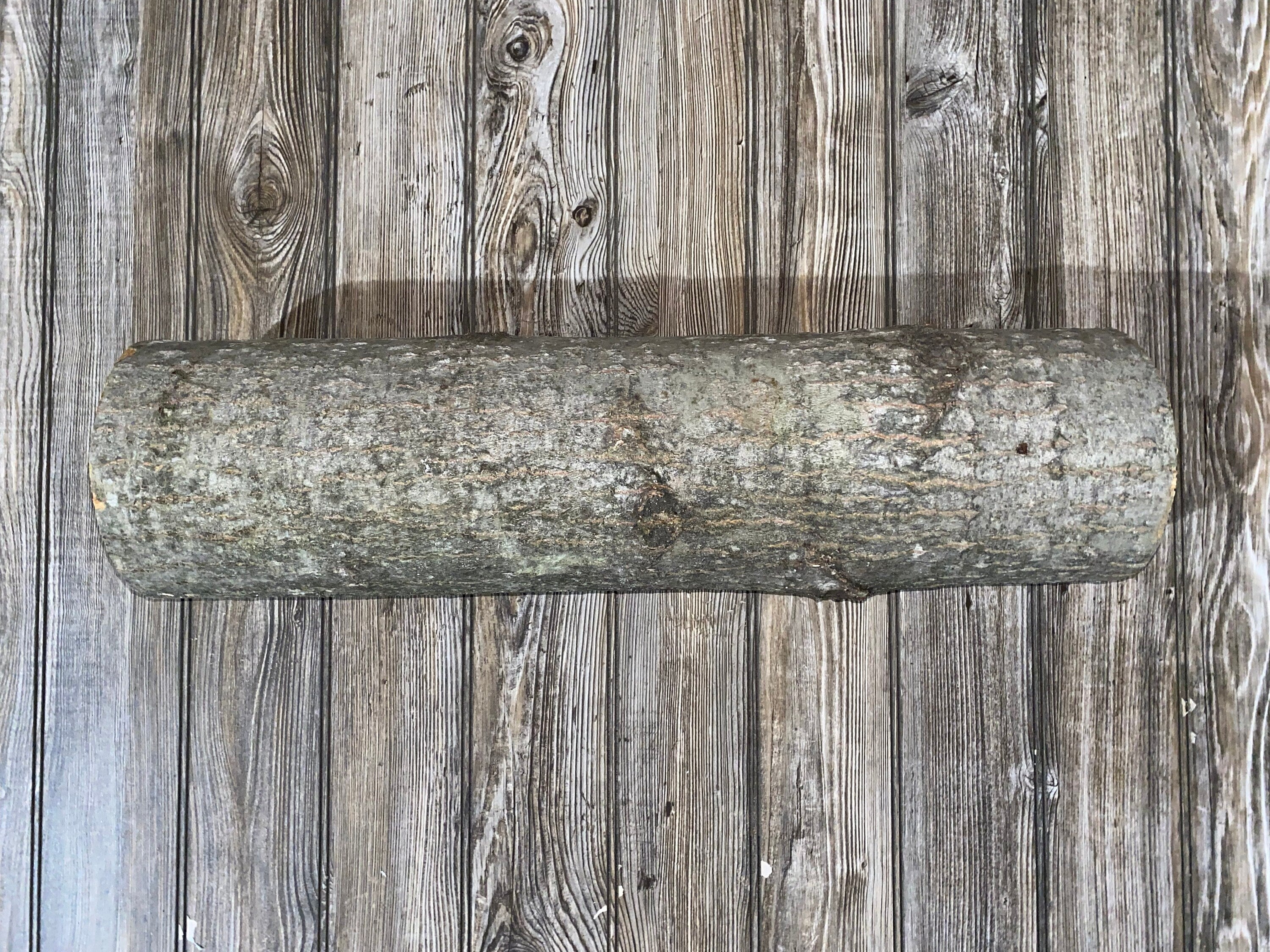 Aspen Log, Popple, About 24 Inches Long by 6 Inches Wide and 6 Inches Thick