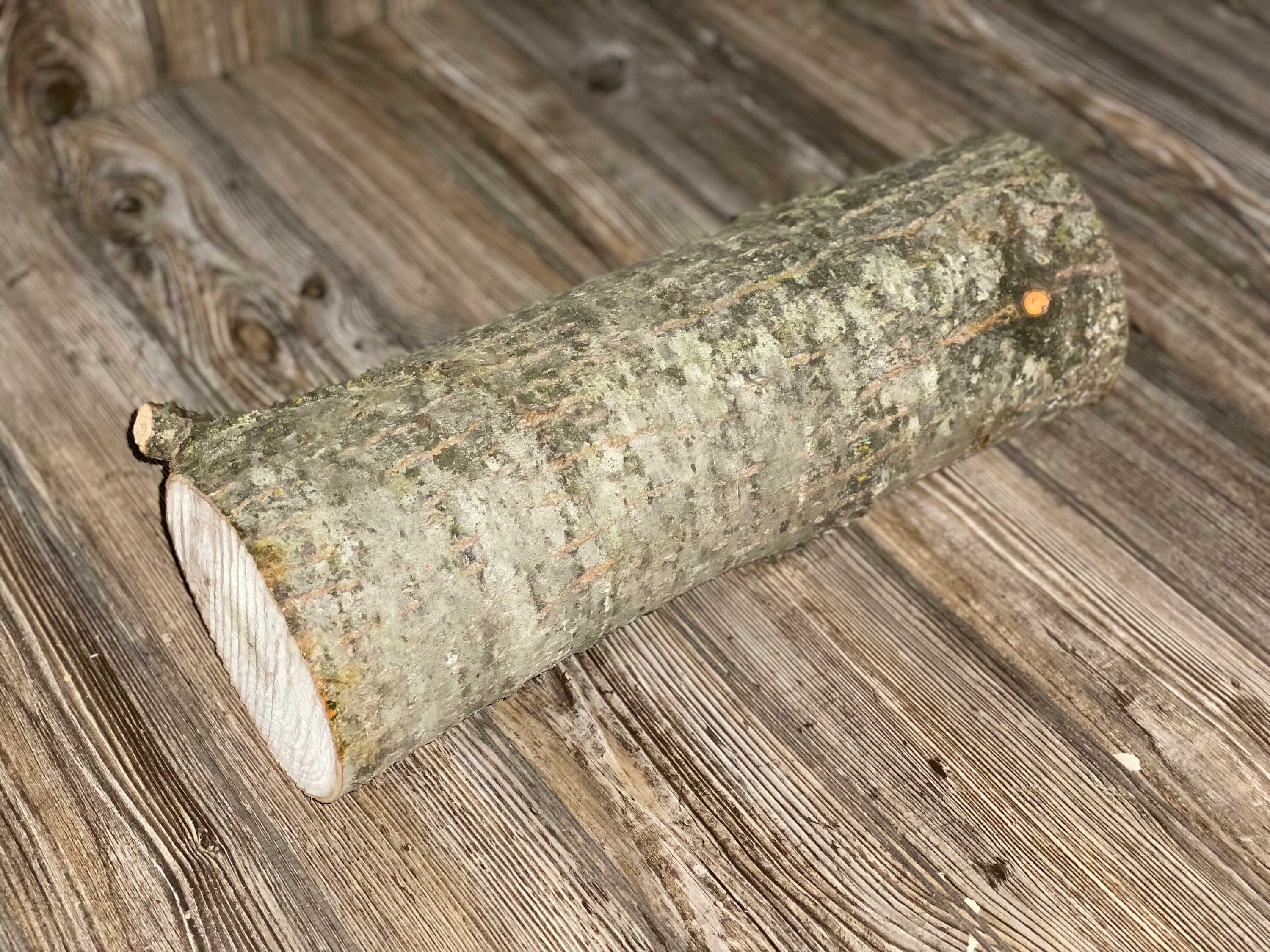 Aspen Log, Popple, About 16 Inches Long by 5 Inches in Diameter