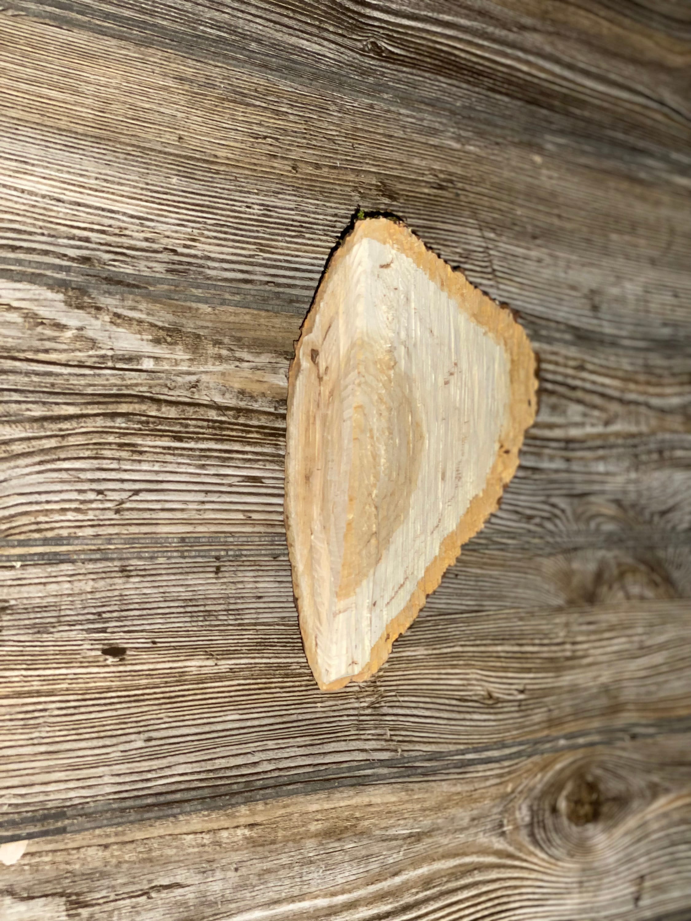 Triangle Shaped Wood Wedge, Wood Slice, Approximately 7.5 Inches Long by 7 Inches Wide and 2 Inches Tall