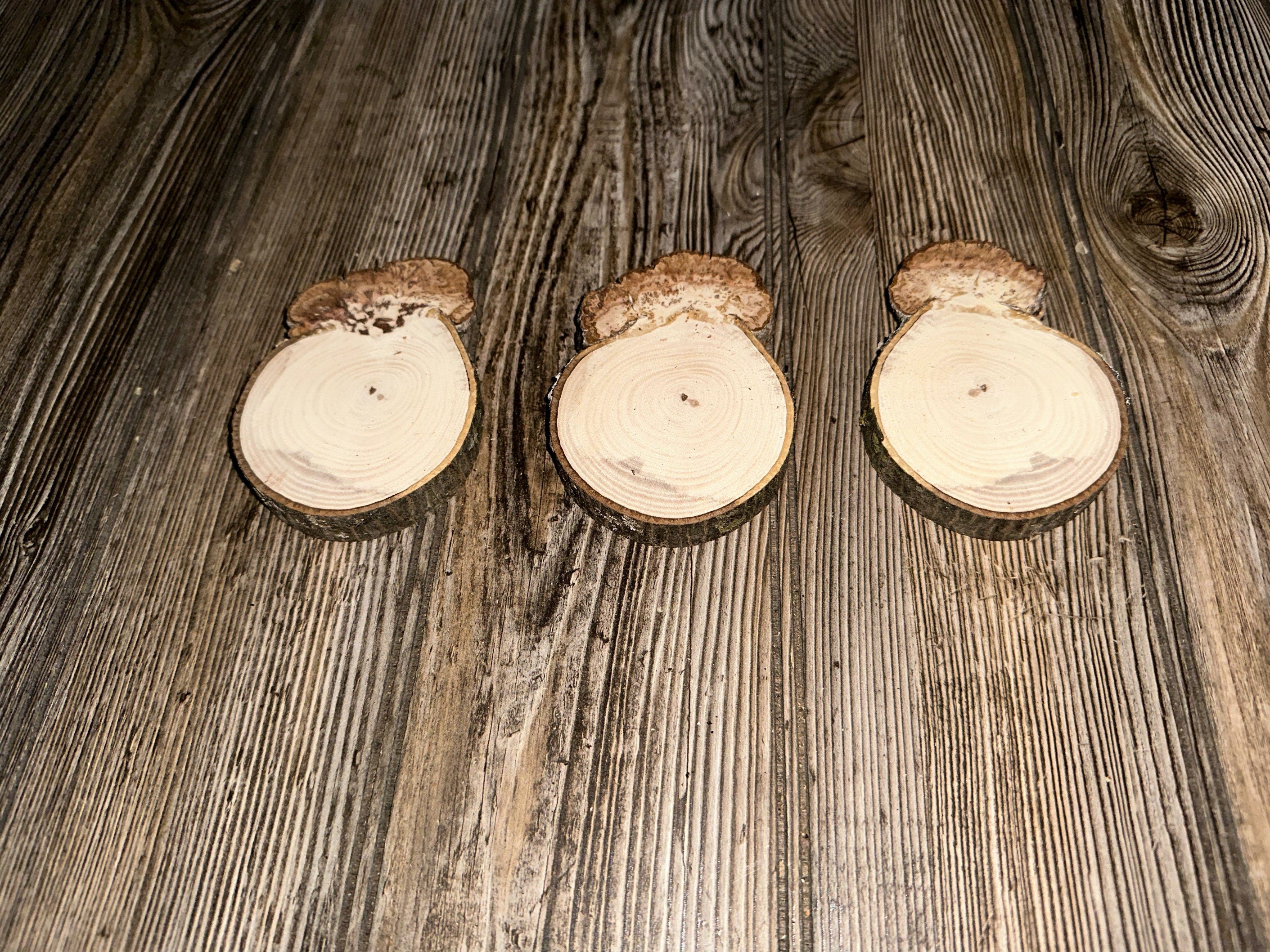 Three Hickory Burl Slices, 3 Count, Approximately 4 Inches Long by 3 Inches Wide and 1/2 Inch Thick