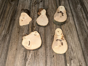 Five Hickory Burl Slices, 5 Count, Approximately 4-6 Inches Long by 3-4 Inches Wide and 1/2-1.5 Inches Thick