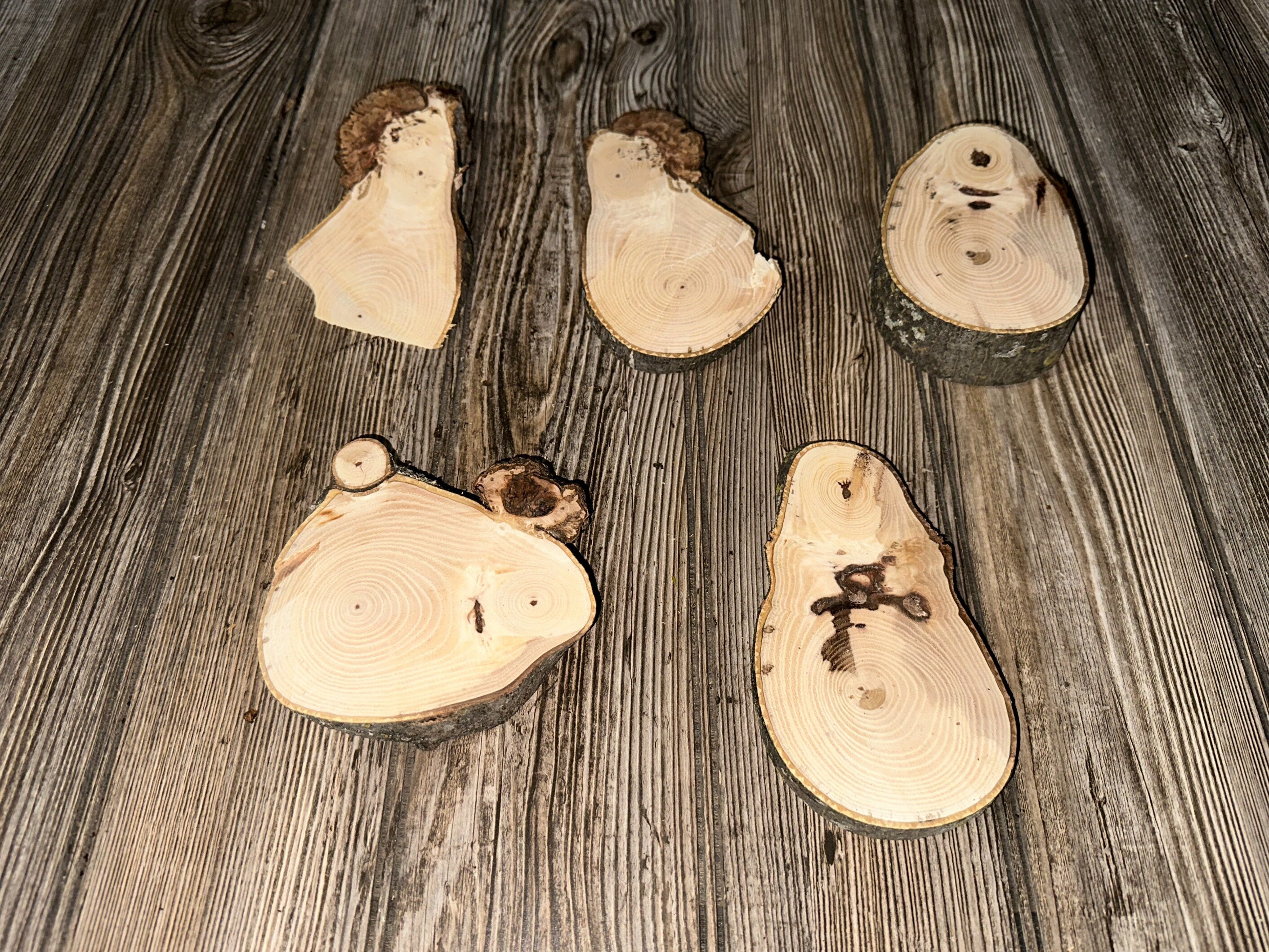 Five Hickory Burl Slices, 5 Count, Approximately 4-6 Inches Long by 3-4 Inches Wide and 1/2-1.5 Inches Thick