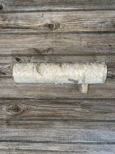 White Birch Log with Conks/Polypores, Approximately 14 Inches Long by 3.5 Inches Diameter