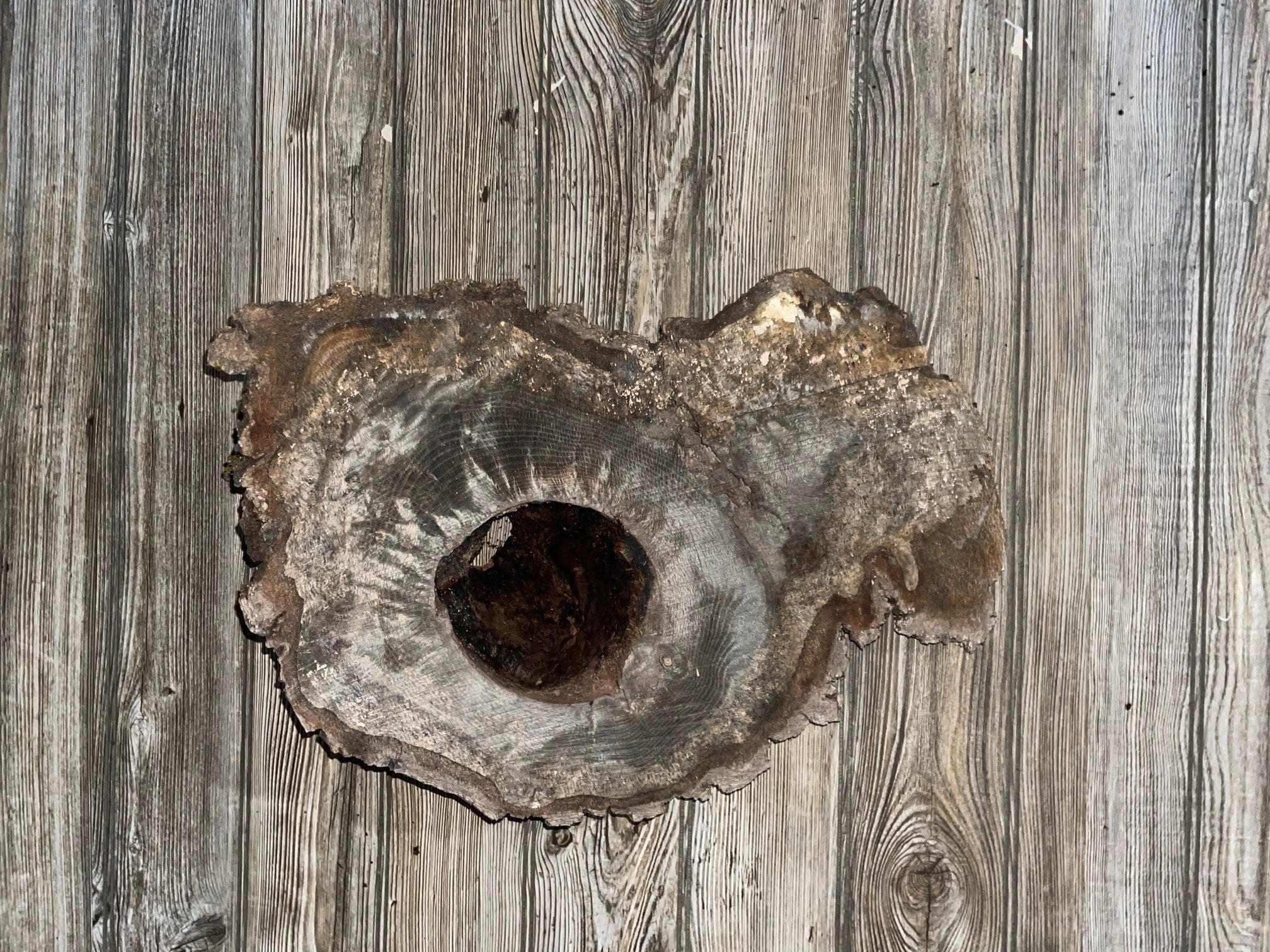 Knot Hole Log, Approximately 17.5 Inches Long by 11.5 Inches Wide and 5 Inches Deep