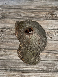 Knot Hole Log, Approximately 17.5 Inches Long by 11.5 Inches Wide and 5 Inches Deep