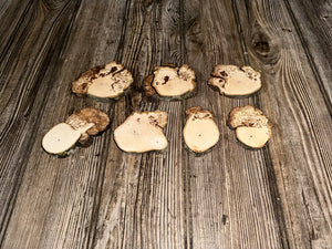 Seven Hickory Burl Slices, 7 Count, Approximately 2.5-3.5 Inches Long by 2-2.5 Inches Wide and 1/2 Inch Thick