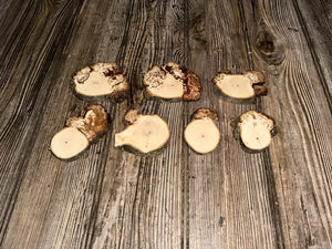 Seven Hickory Burl Slices, 7 Count, Approximately 2.5-3.5 Inches Long by 2-2.5 Inches Wide and 1/2 Inch Thick