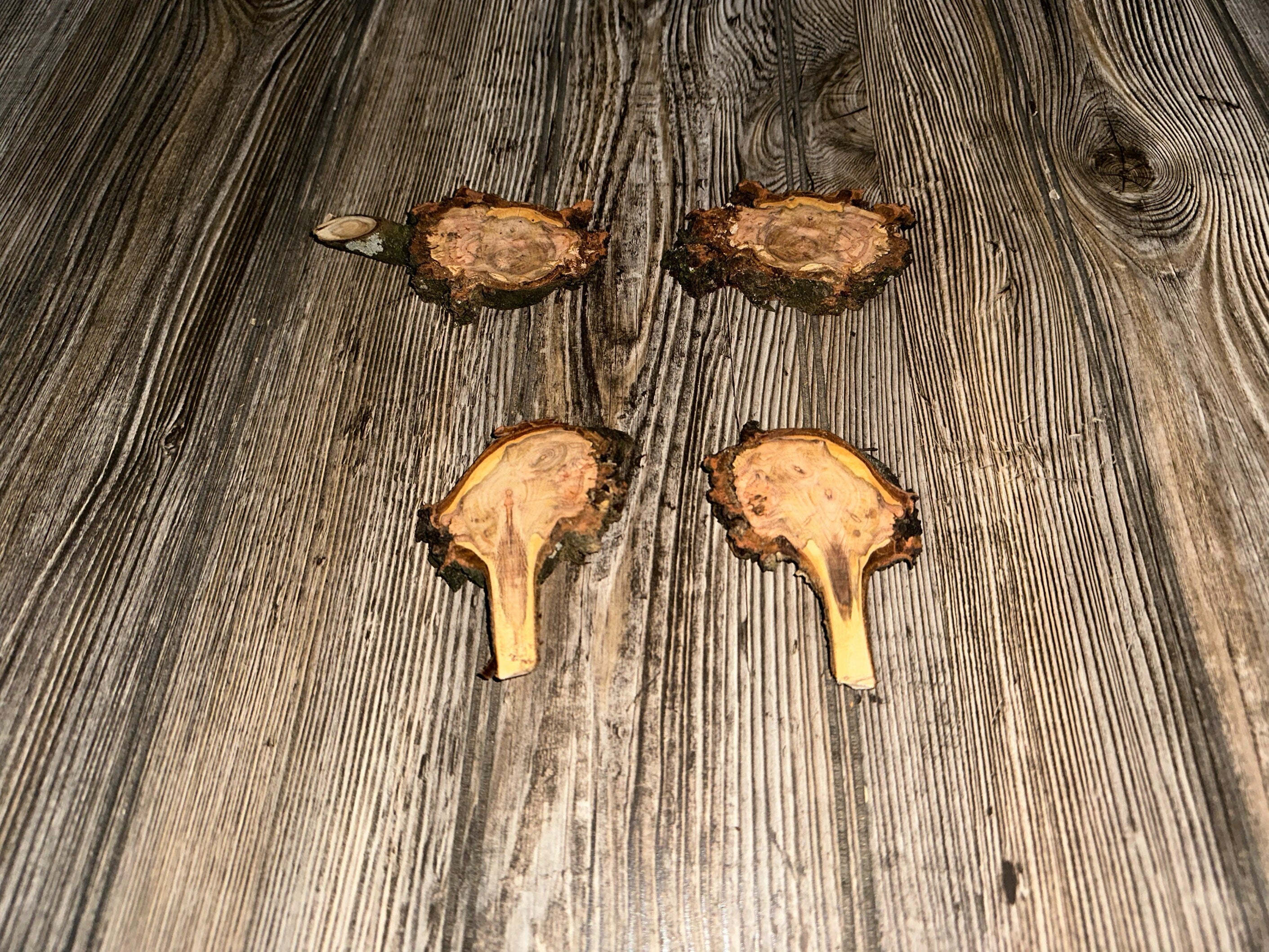 Four Cherry Burl Slices, Approximately 3.5-4.5 Inches Long by 2-2.5 Inches Wide and 1/2 Inch Thick