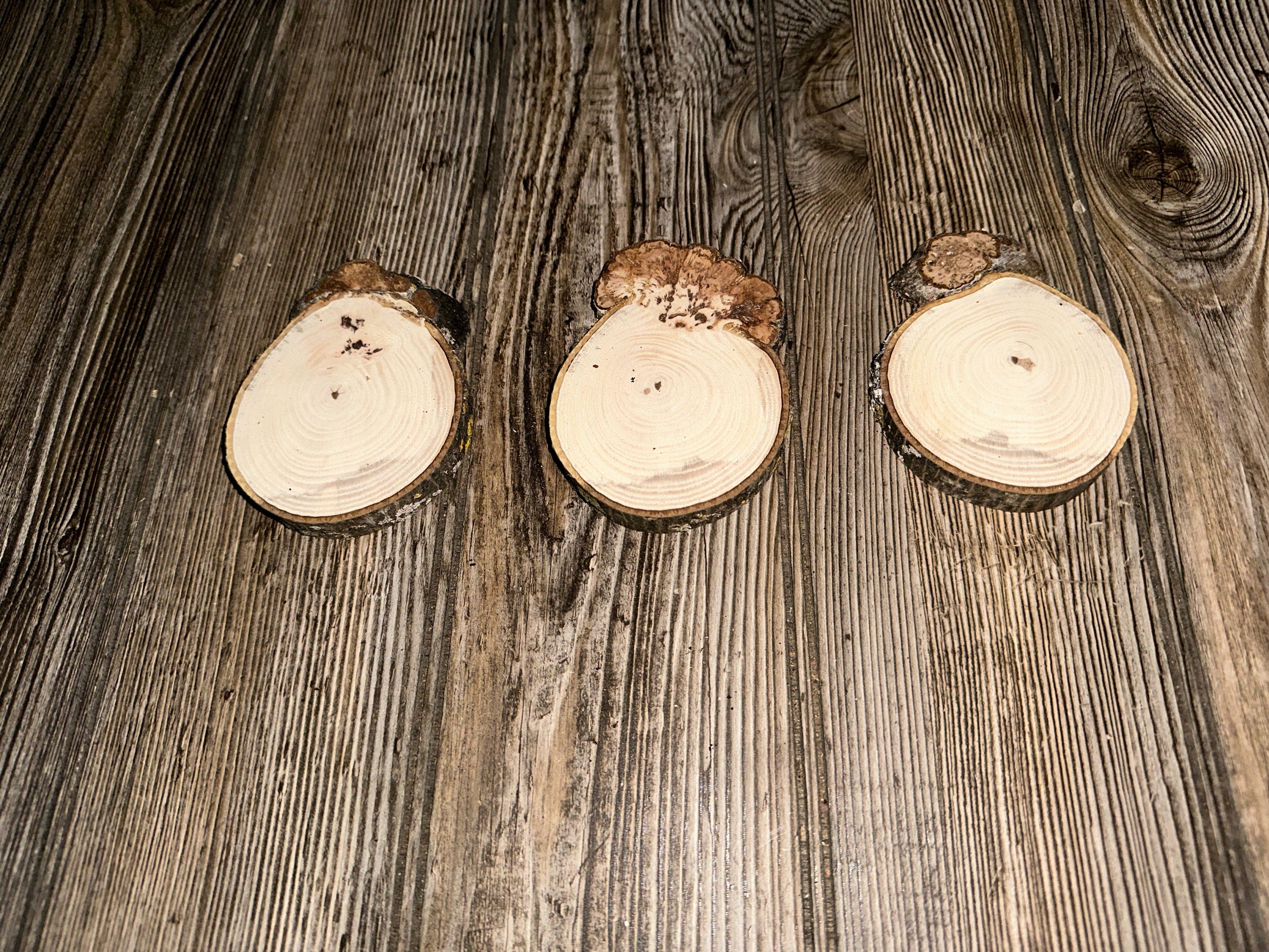 Three Hickory Burl Slices, 3 Count, Approximately 4 Inches Long by 3 Inches Wide and 1/2 Inch Thick