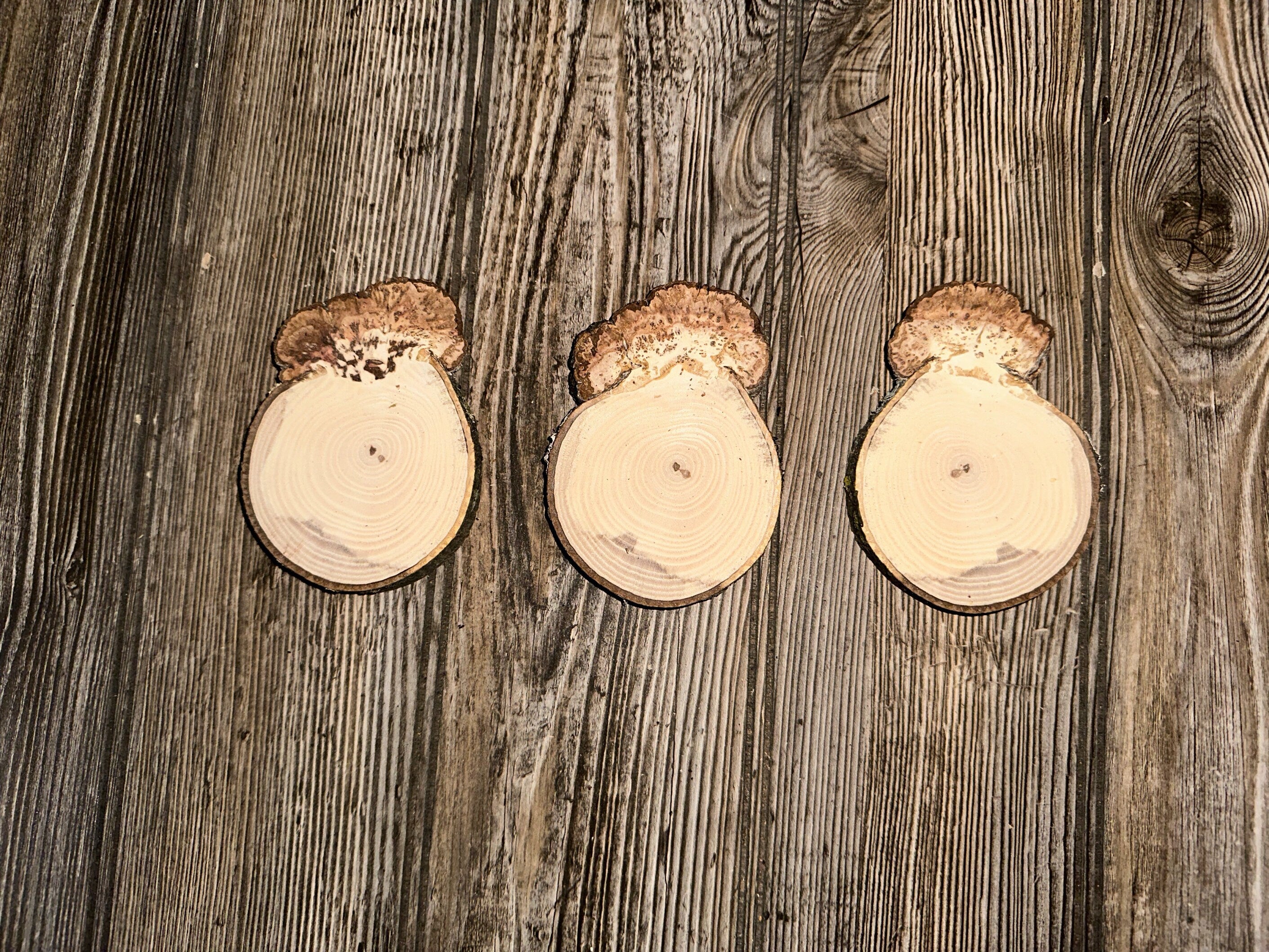 Three Hickory Burl Slices, 3 Count, Approximately 4 Inches Long by 3 Inches Wide and 1/2 Inch Thick