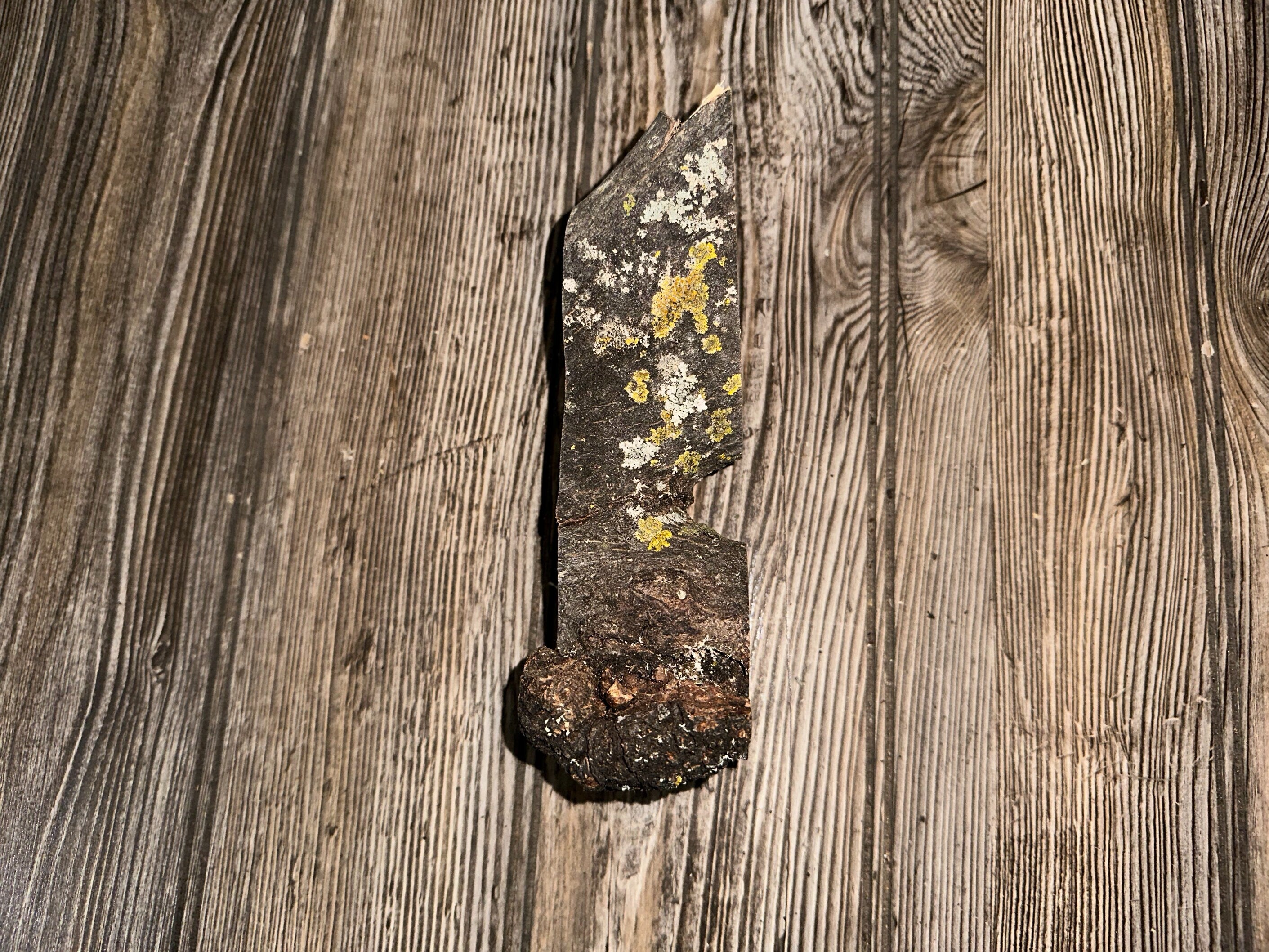 Unique Hickory Burl Piece, Approximately 7 Inches Long by 2.5 Inches Wide and 2 Inches Thick