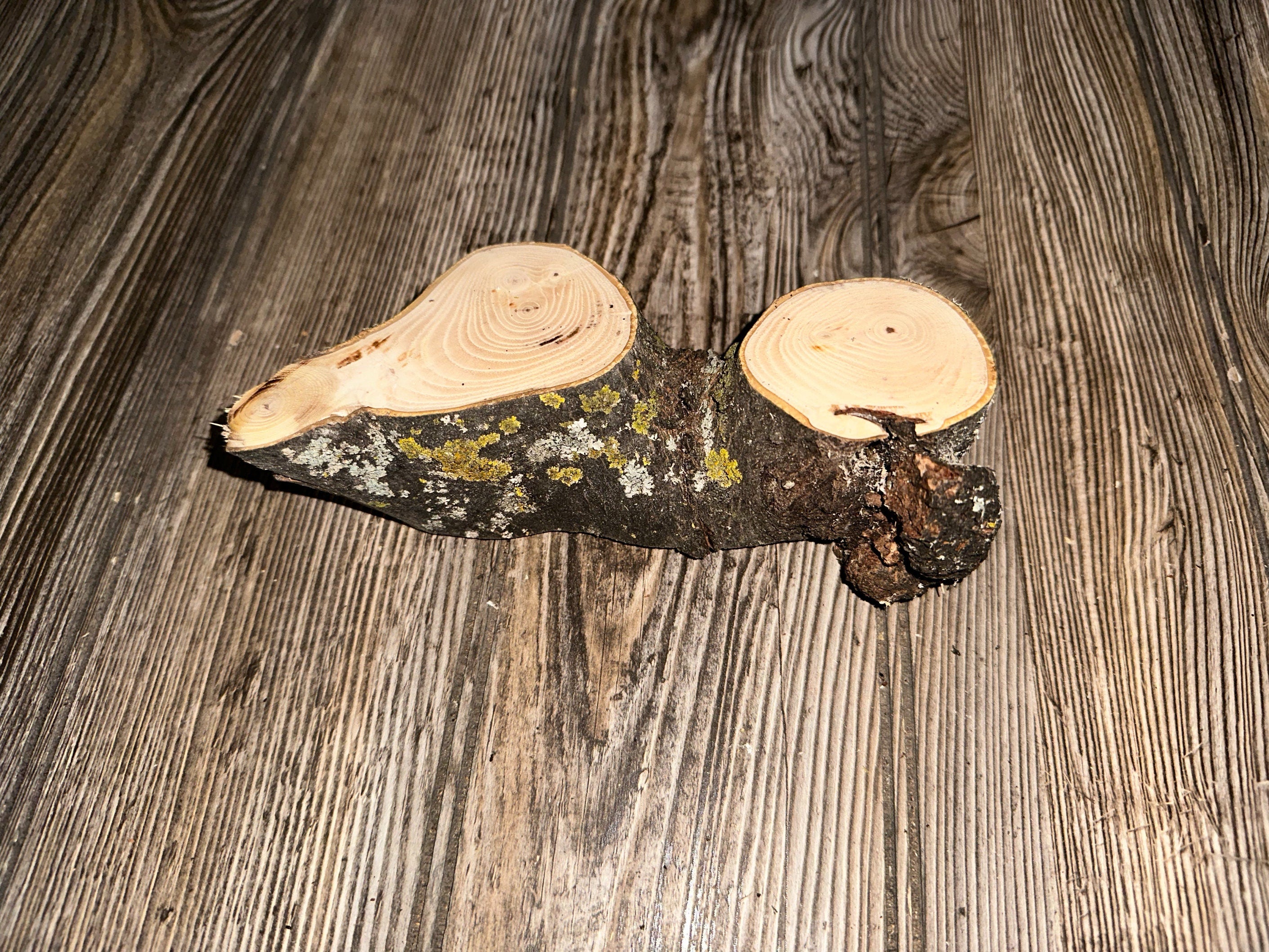 Unique Hickory Burl Piece, Approximately 7 Inches Long by 2.5 Inches Wide and 2 Inches Thick