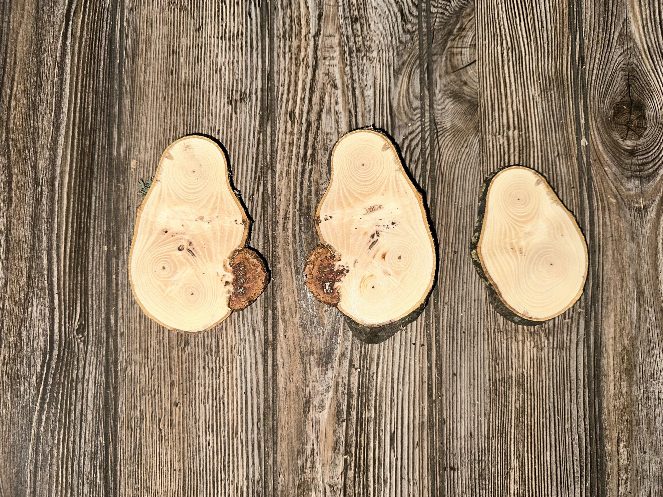 Three Hickory Burl Slices, 3 Count, Approximately 4-5.5 Inches Long by 2.5-3 Inches Wide and 3/8-1 Inch Thick