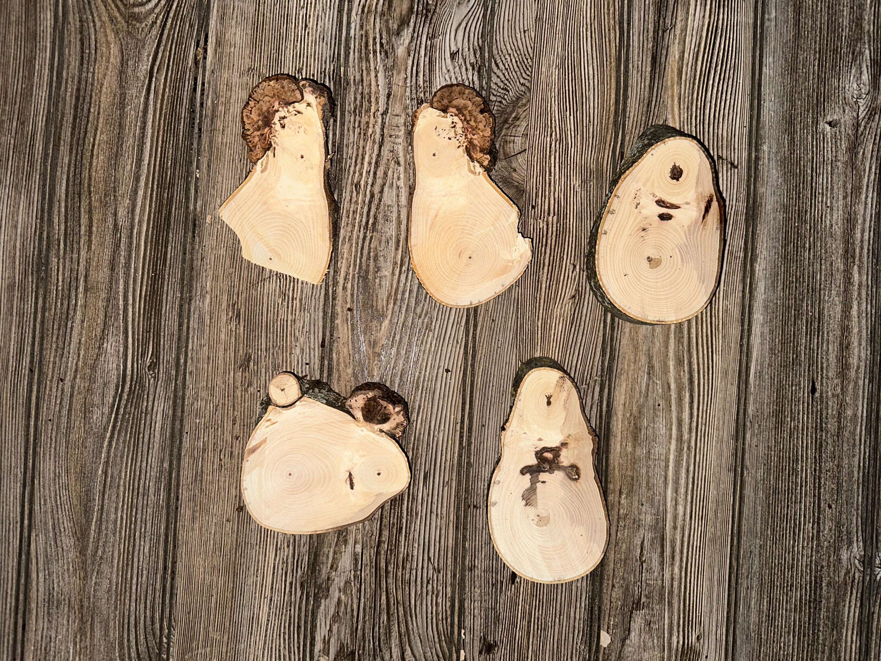 Five Hickory Burl Slices, 5 Count, Approximately 4-6 Inches Long by 3-4 Inches Wide and 1/2-1.5 Inches Thick