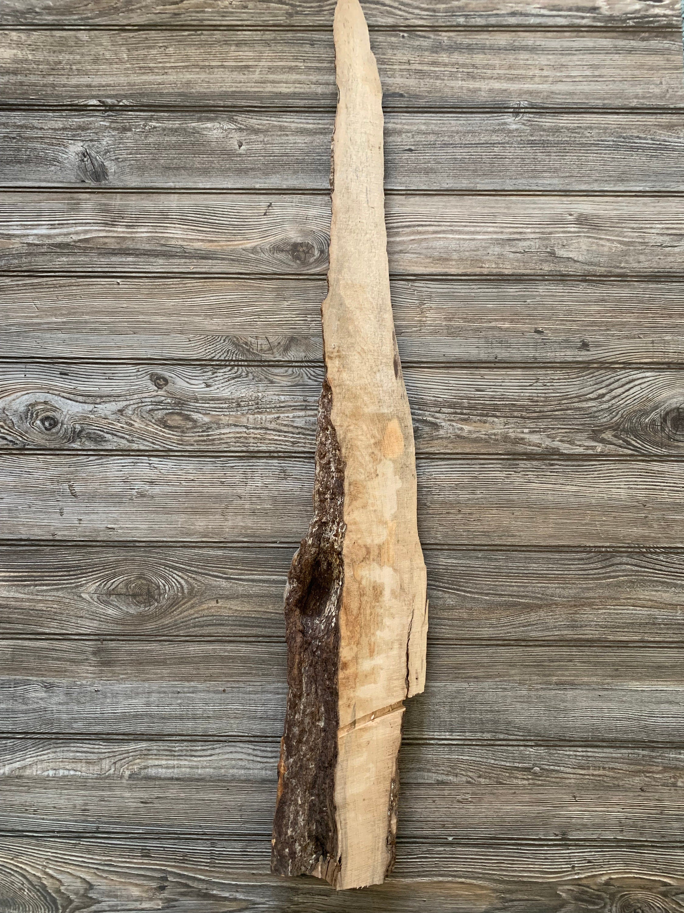 Maple Half Log with Personality, Approximately 37 Inches Long by 7 Inches Wide by 2.5 Inches High