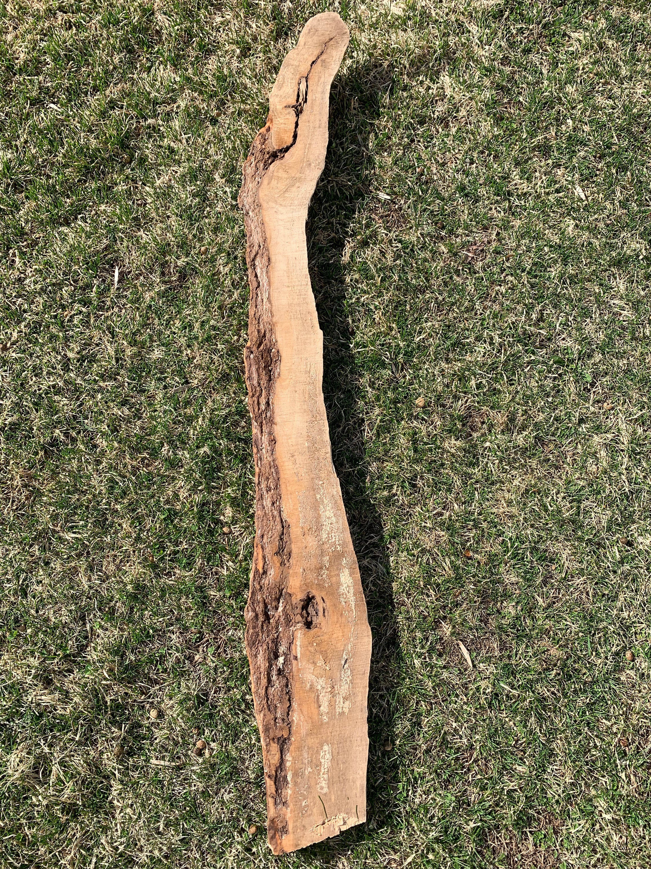 Snake Shape Pine Wood Half Log, Approximately 44 Inches Long by 6 Inches Wide and 1/2 Inches High