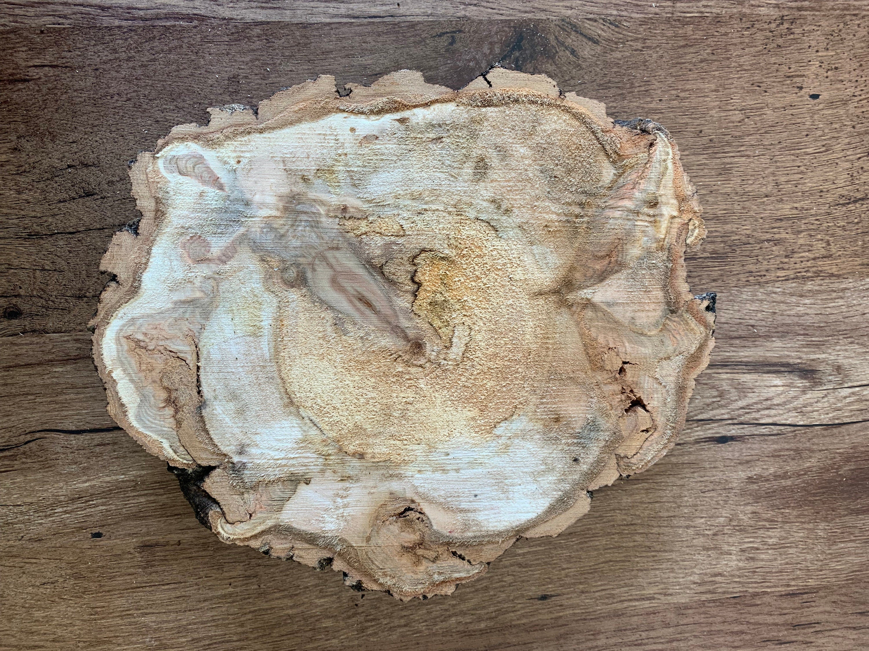 Aspen Burl Slice, Approximately 12 Inches Long by 10 Inches Wide and 2 Inches Thick