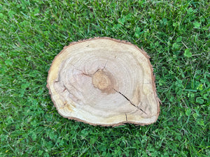Cherry Wood Slice, One Count, Approximately 10 Inches Long by 8.5 Inches Wide and 1 Inch Thick