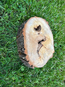 Aspen Wood Slice, Approximately 7.5 Inches Long by 5.5 Inches Wide and 2 Inches Thick