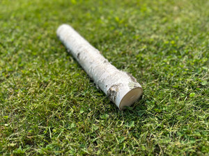 White Birch Log, Paper Birch, 16 Inches Long, Bundles Available