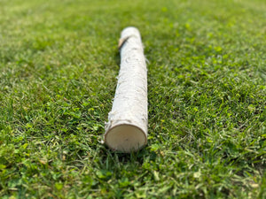 White Birch Log, Paper Birch, 20 Inches Long